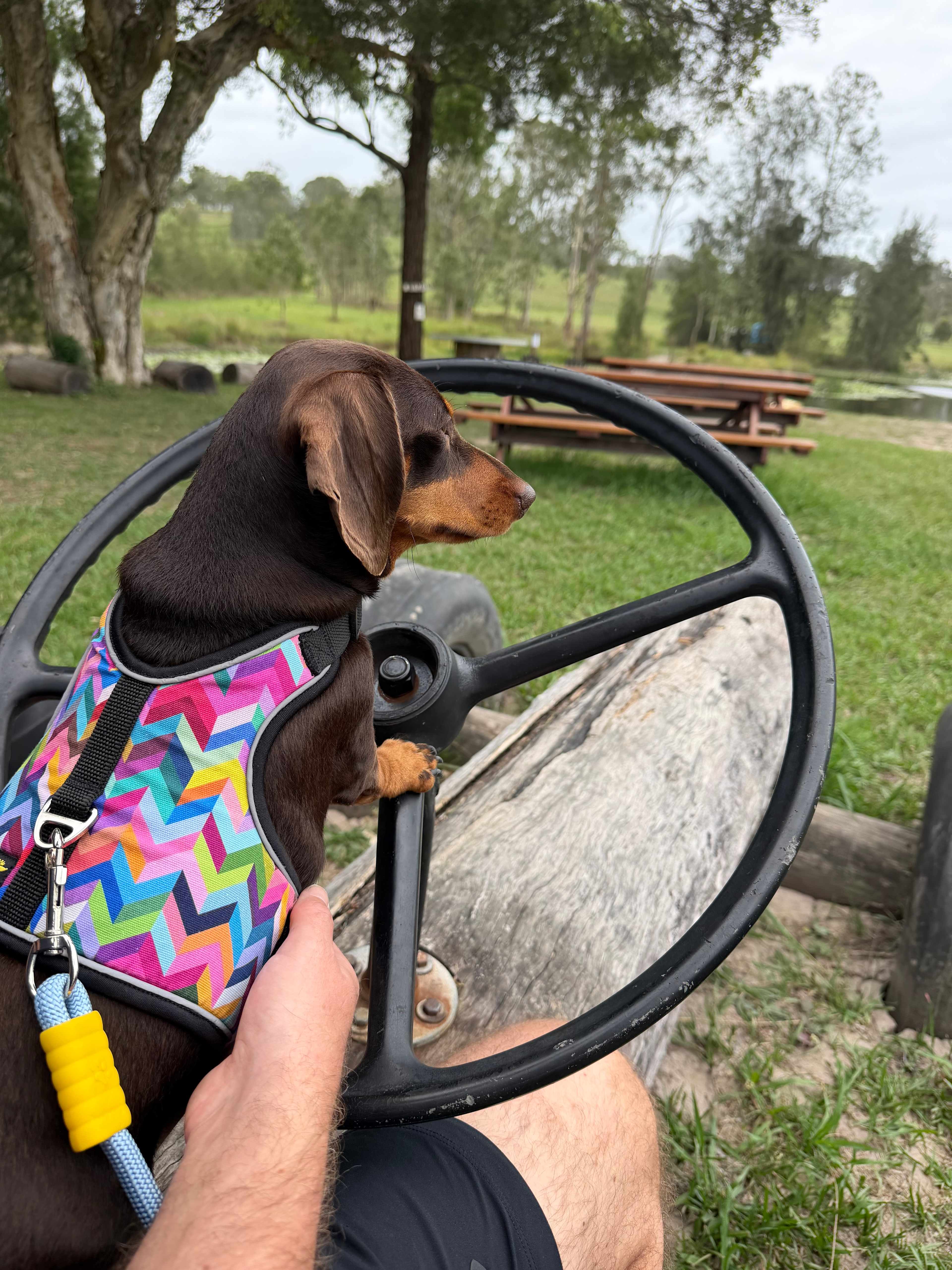 The Riverside Farm Escape Minimbah