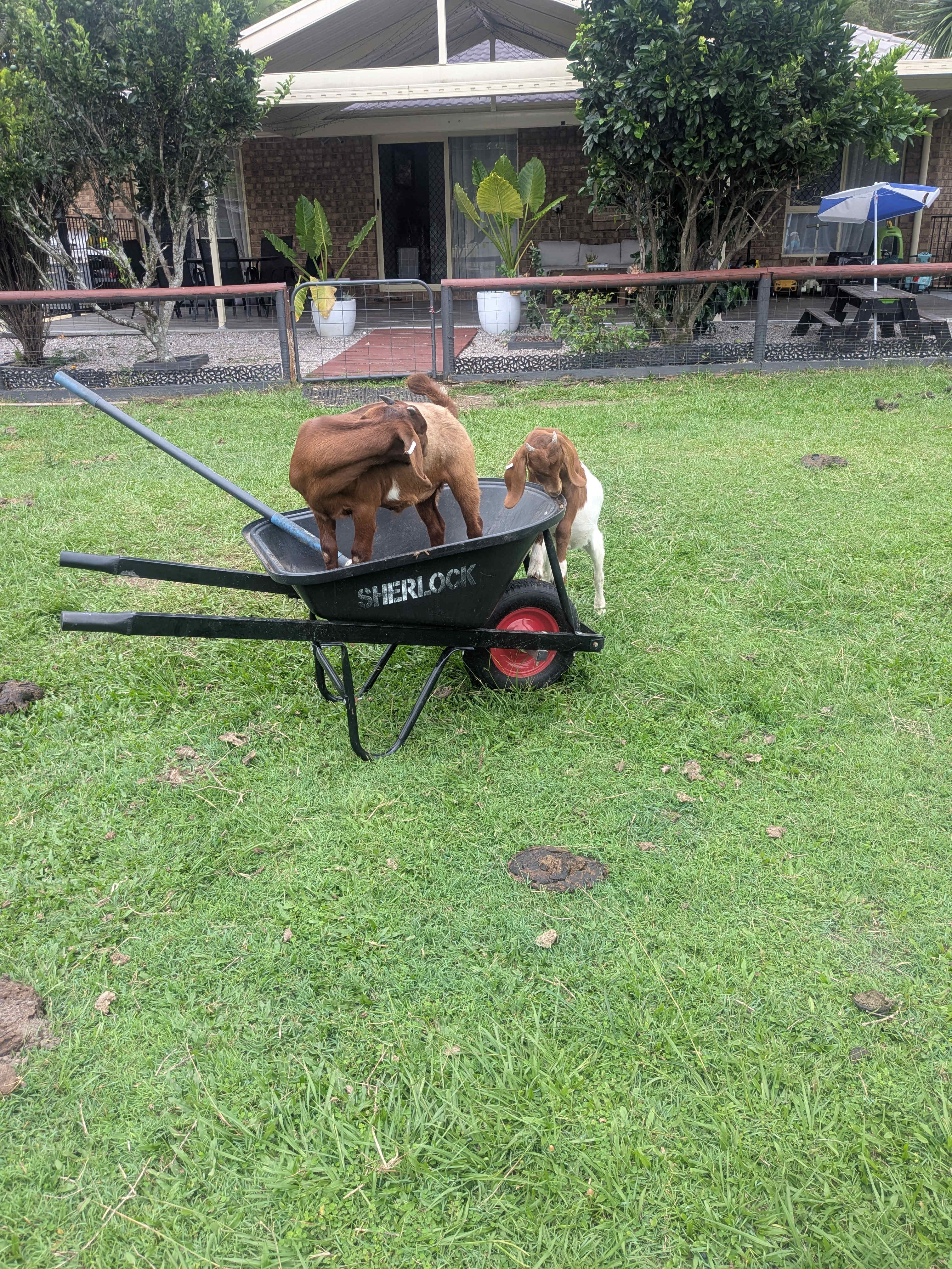 Rocky Creek Grasslands