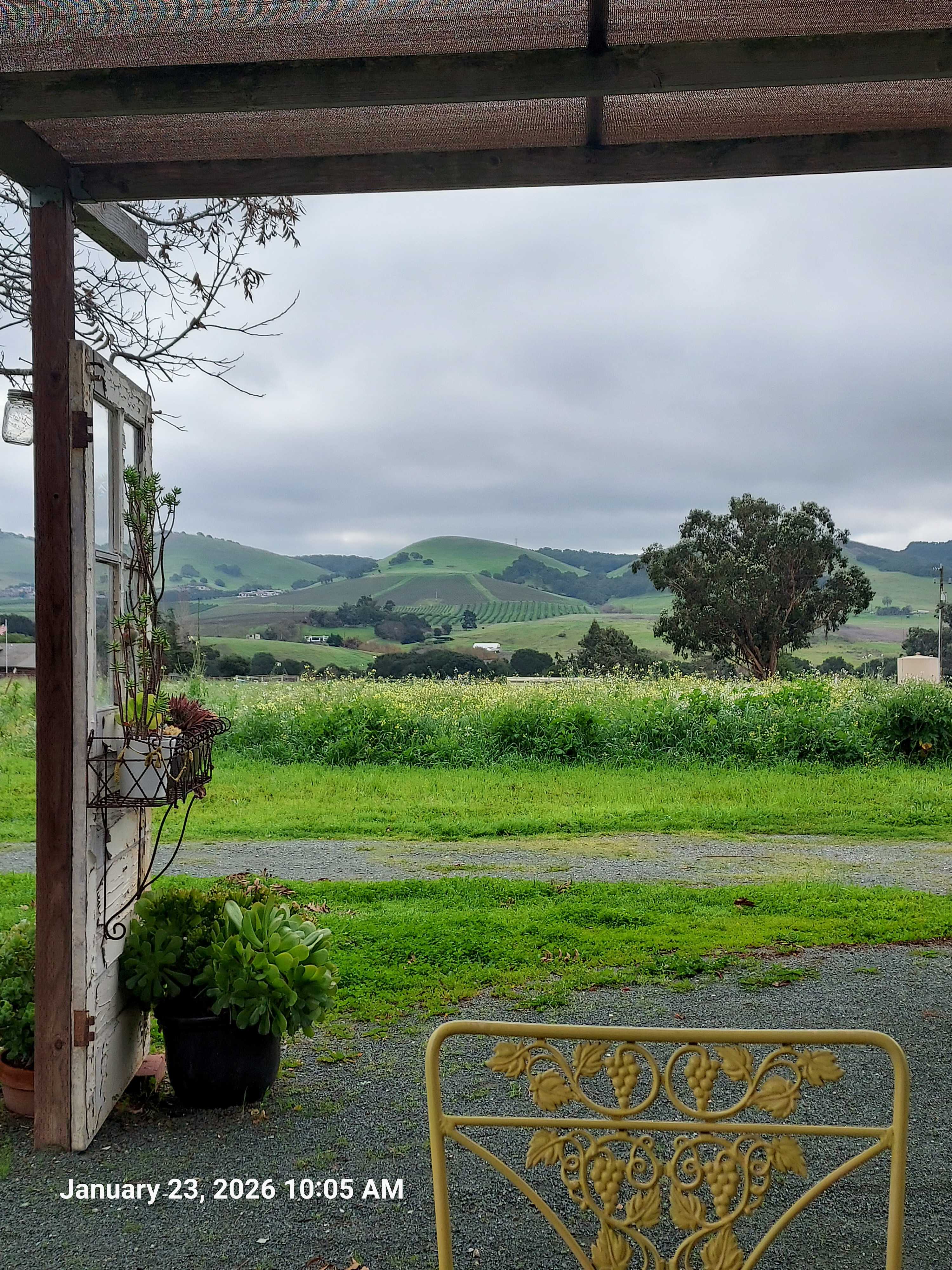 At the breakfast table.