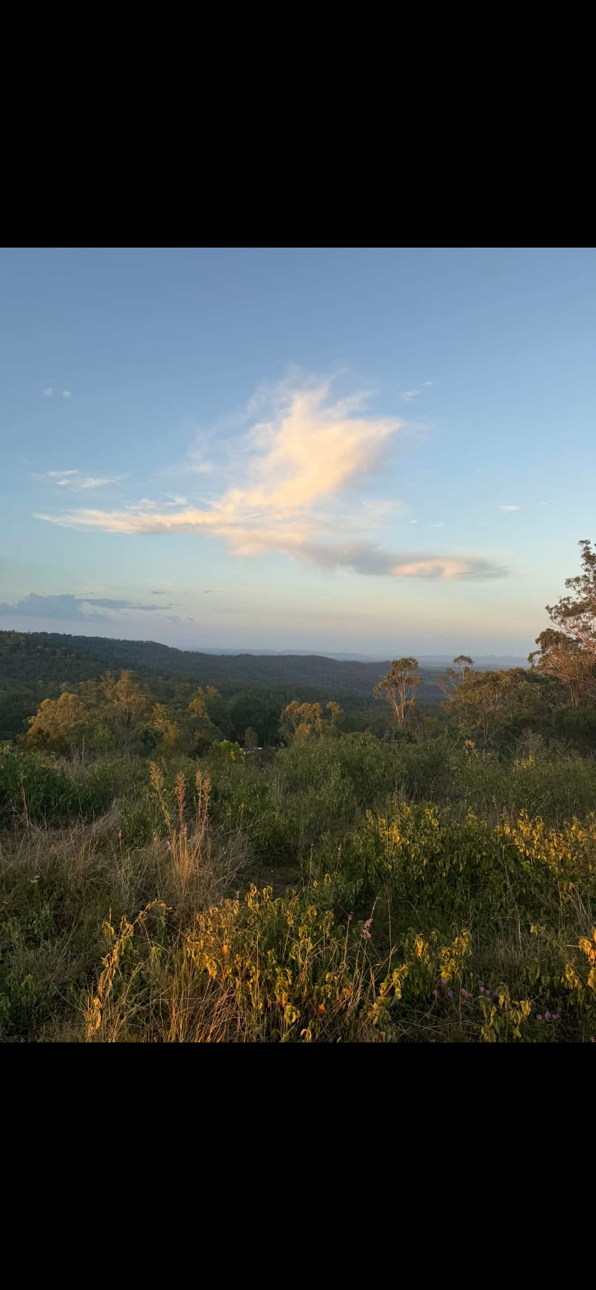 Hilltop Farm, Camping and Glamping.