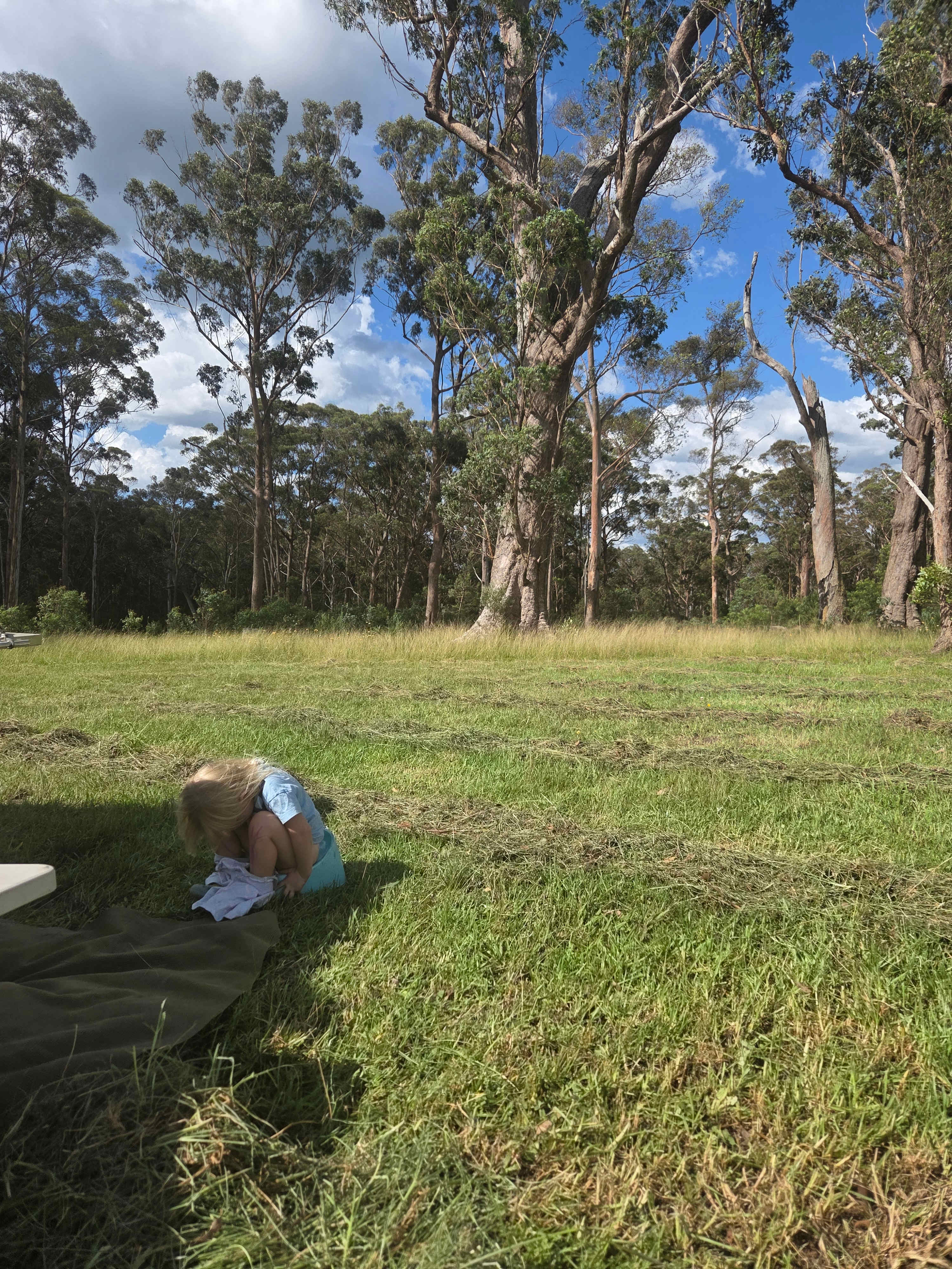 Stonepine Ridge 'where eagles fly'