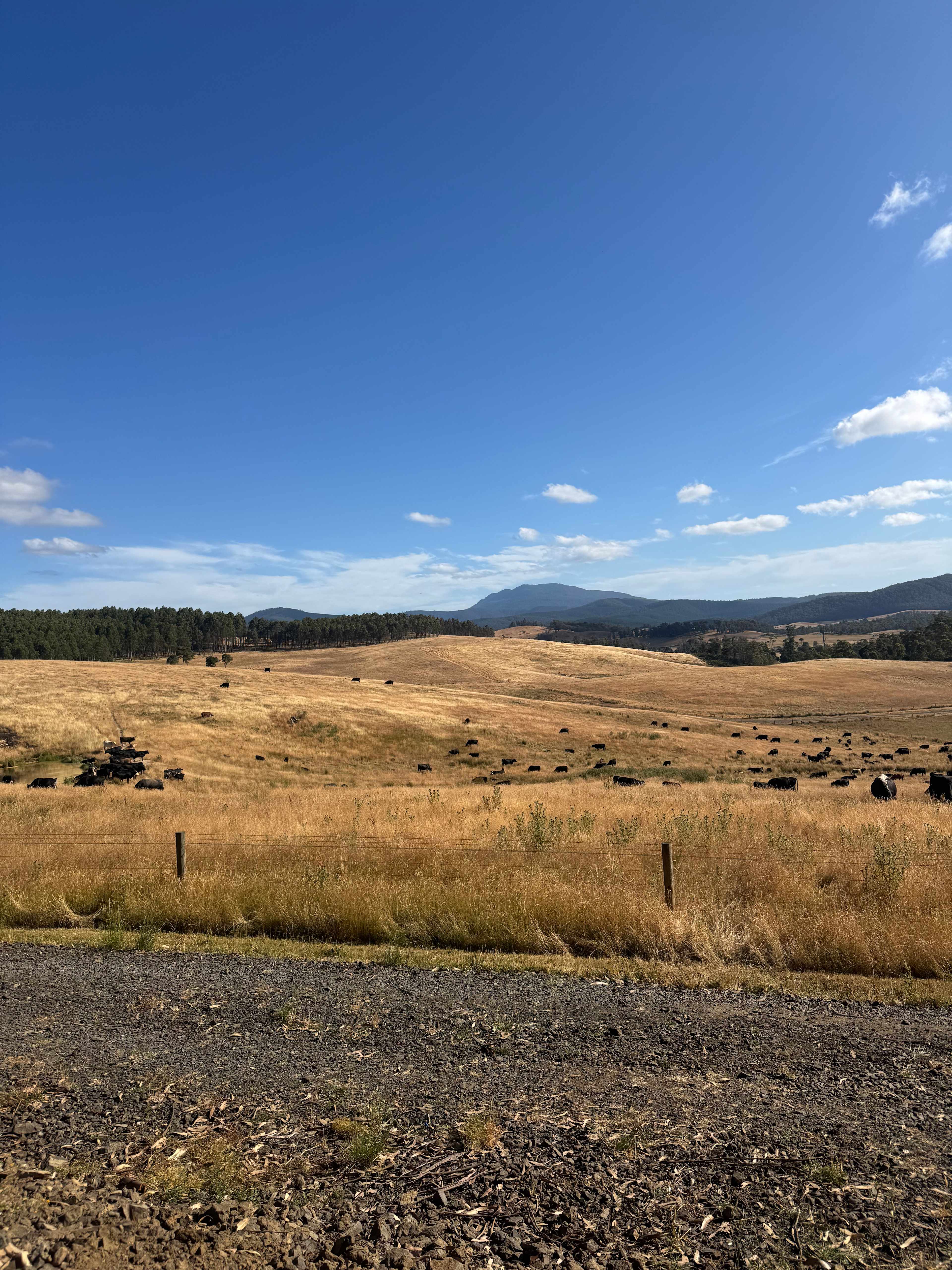 Mabel's Paddock RV Farm Stay