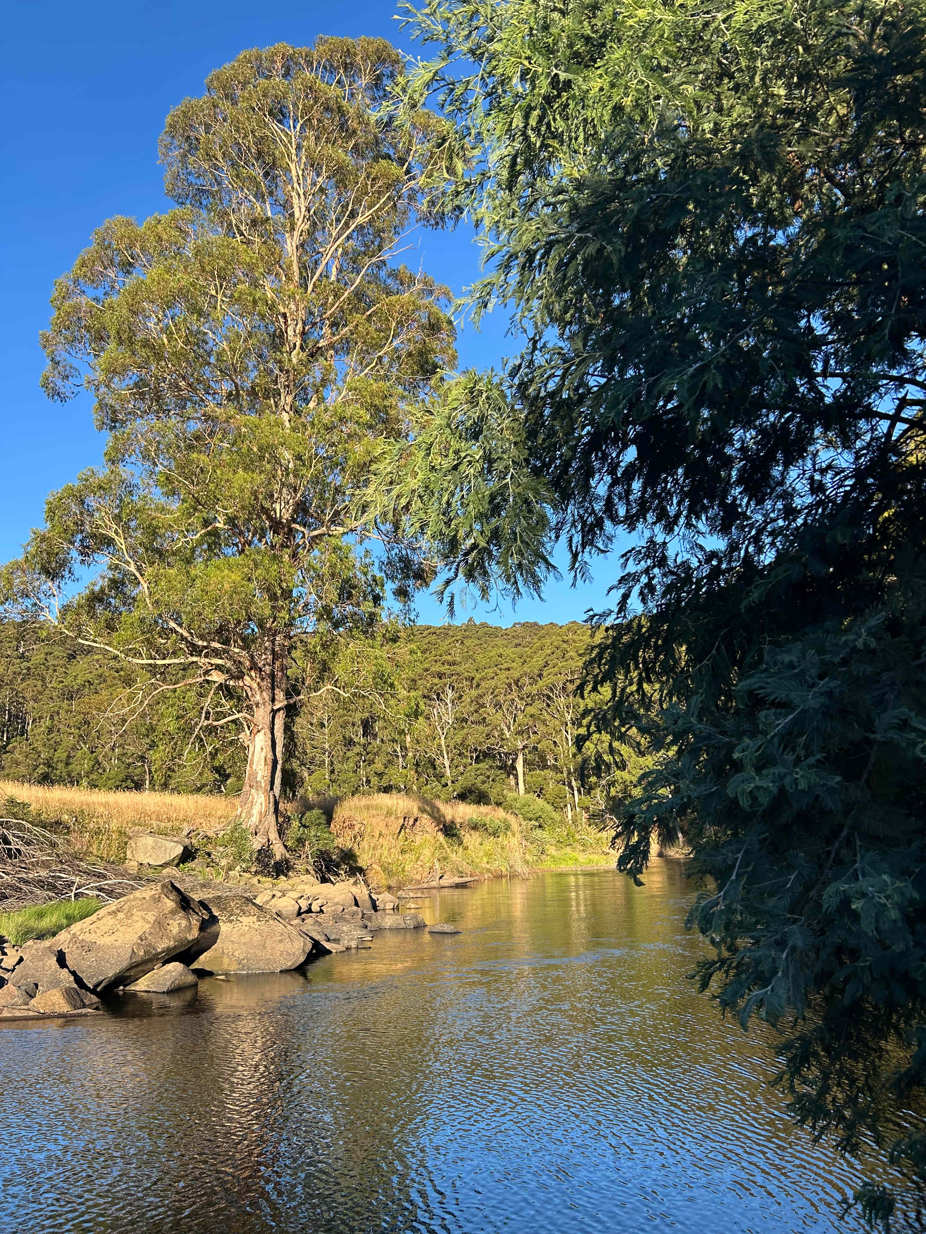 Leven River Camping On Wattle Farm