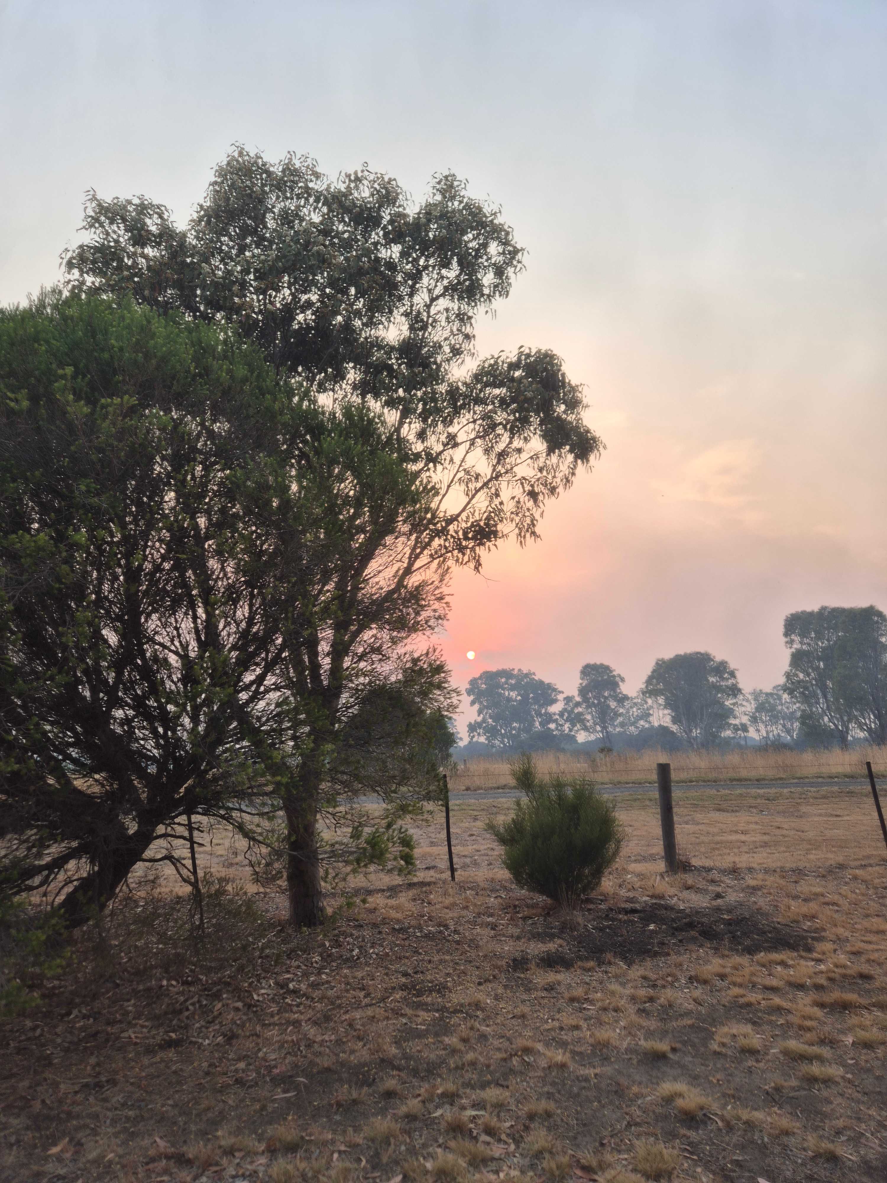 Reedy Lakes Farm Stay