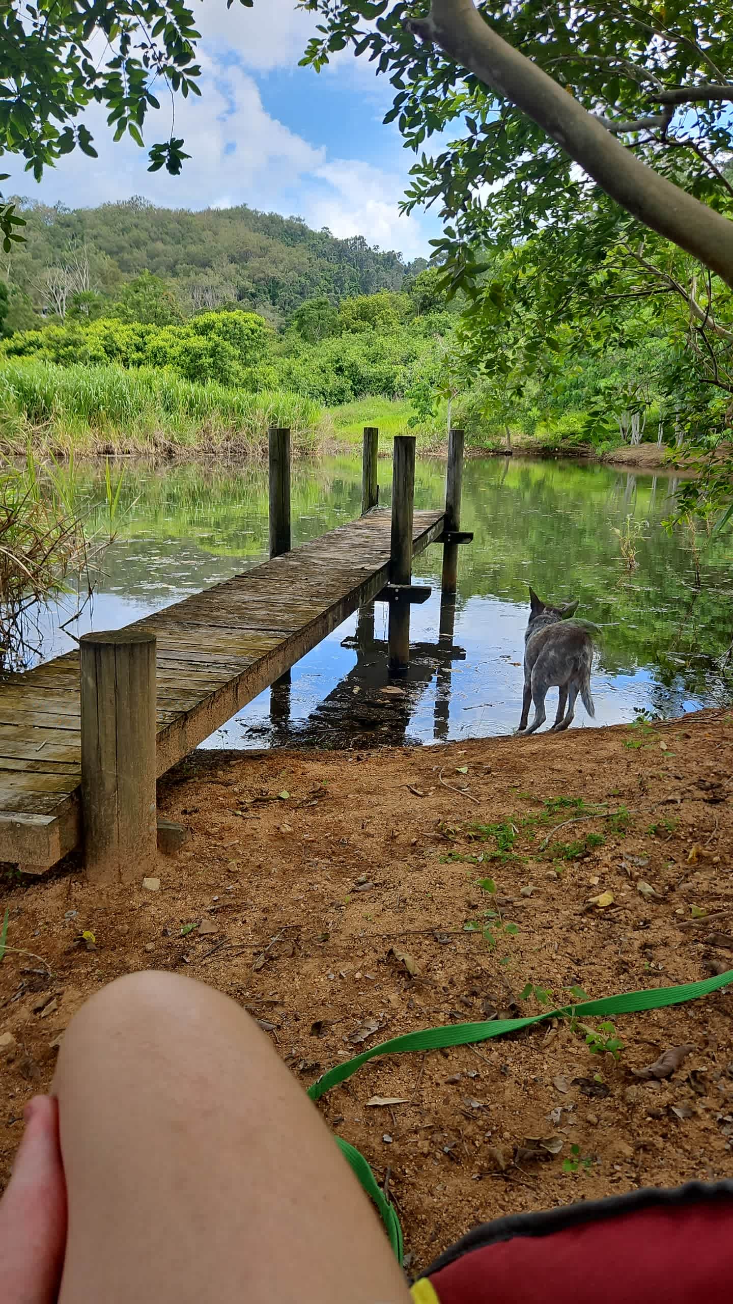 Middle Creek Dam Campsites