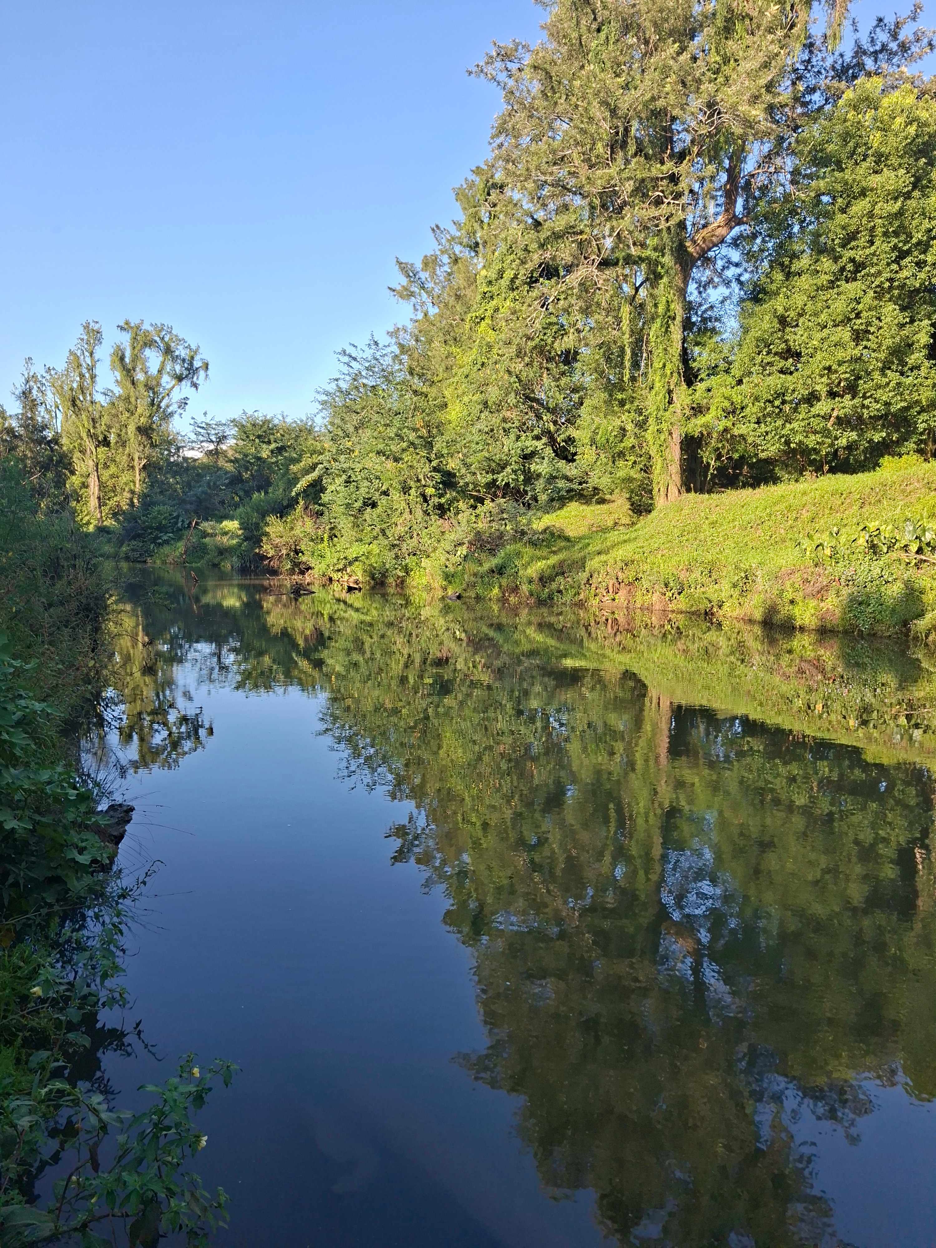 Nimbin Rocks Camping