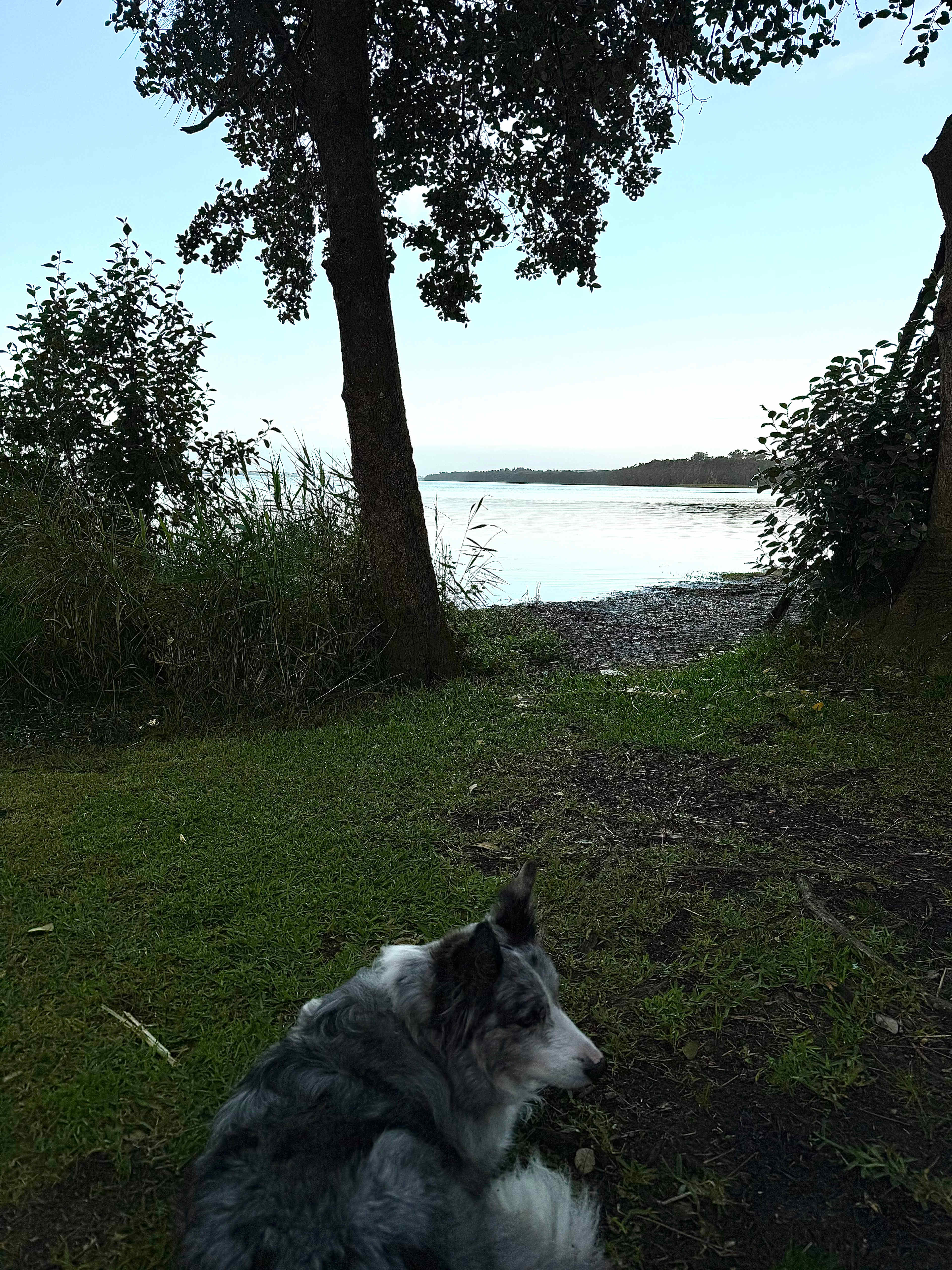 Two Shores Holiday Village