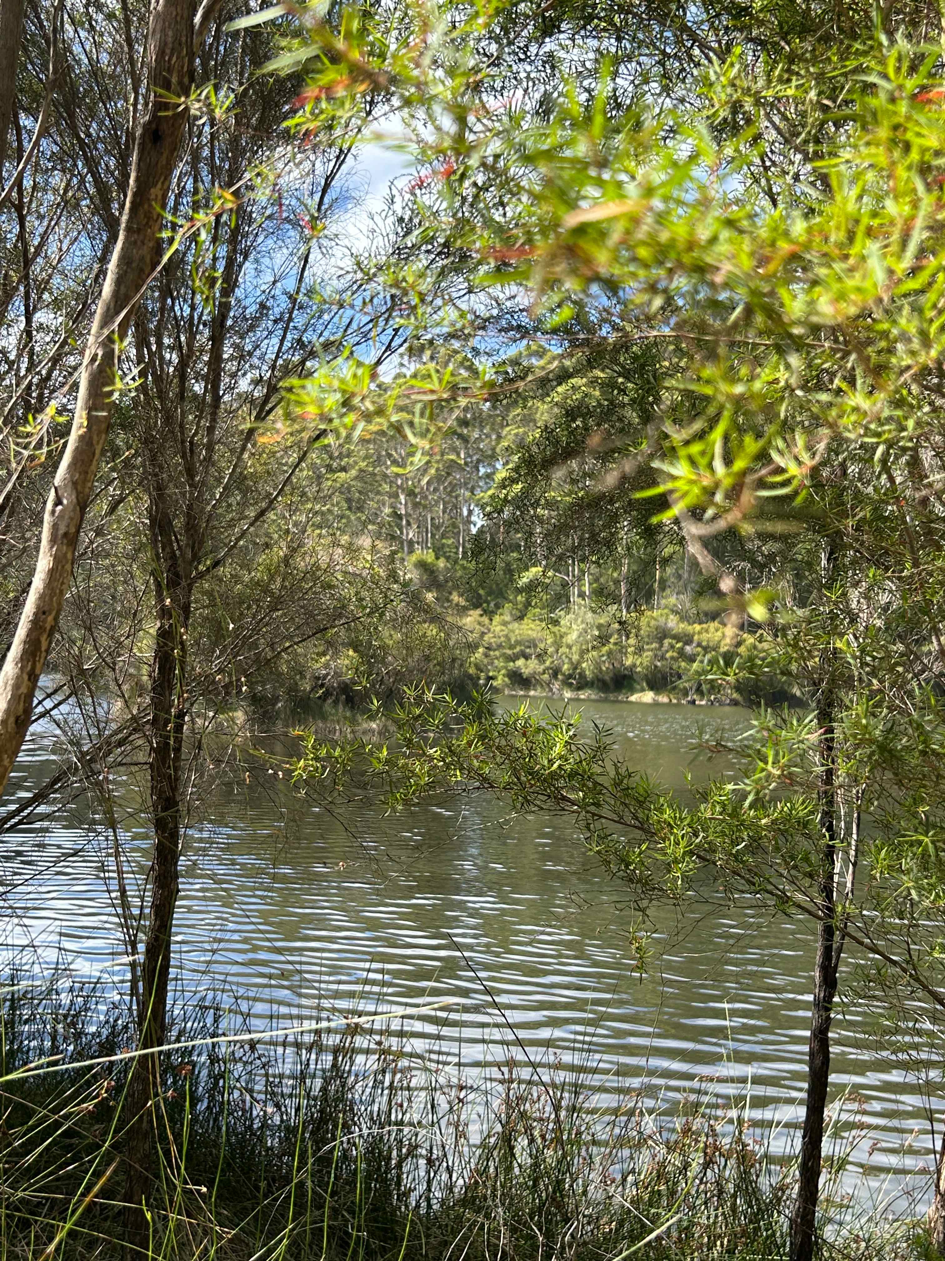 Mountford Wines & Cider Pemberton
