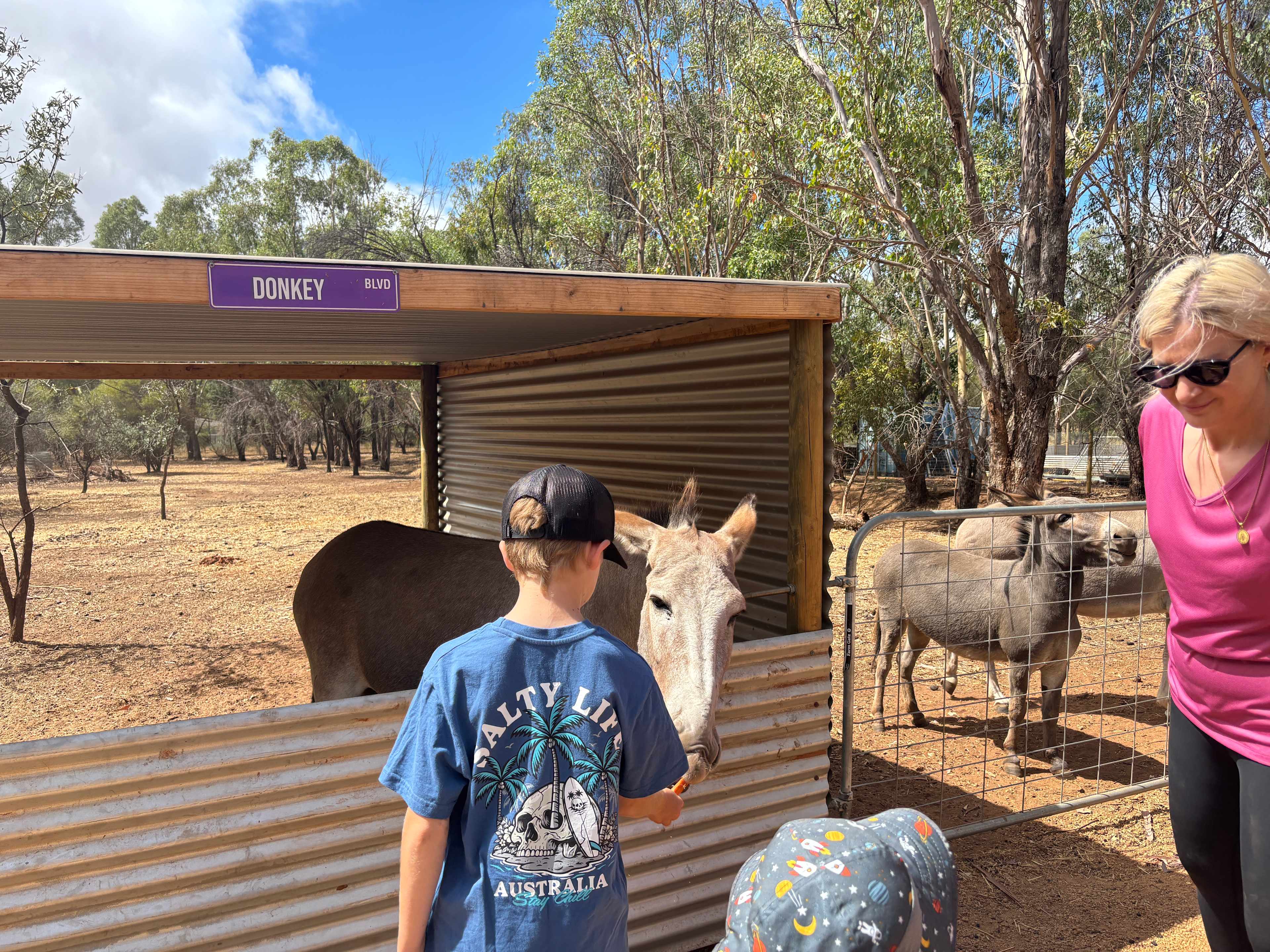 Sandalwood Downs  Farm Stay Toodyay