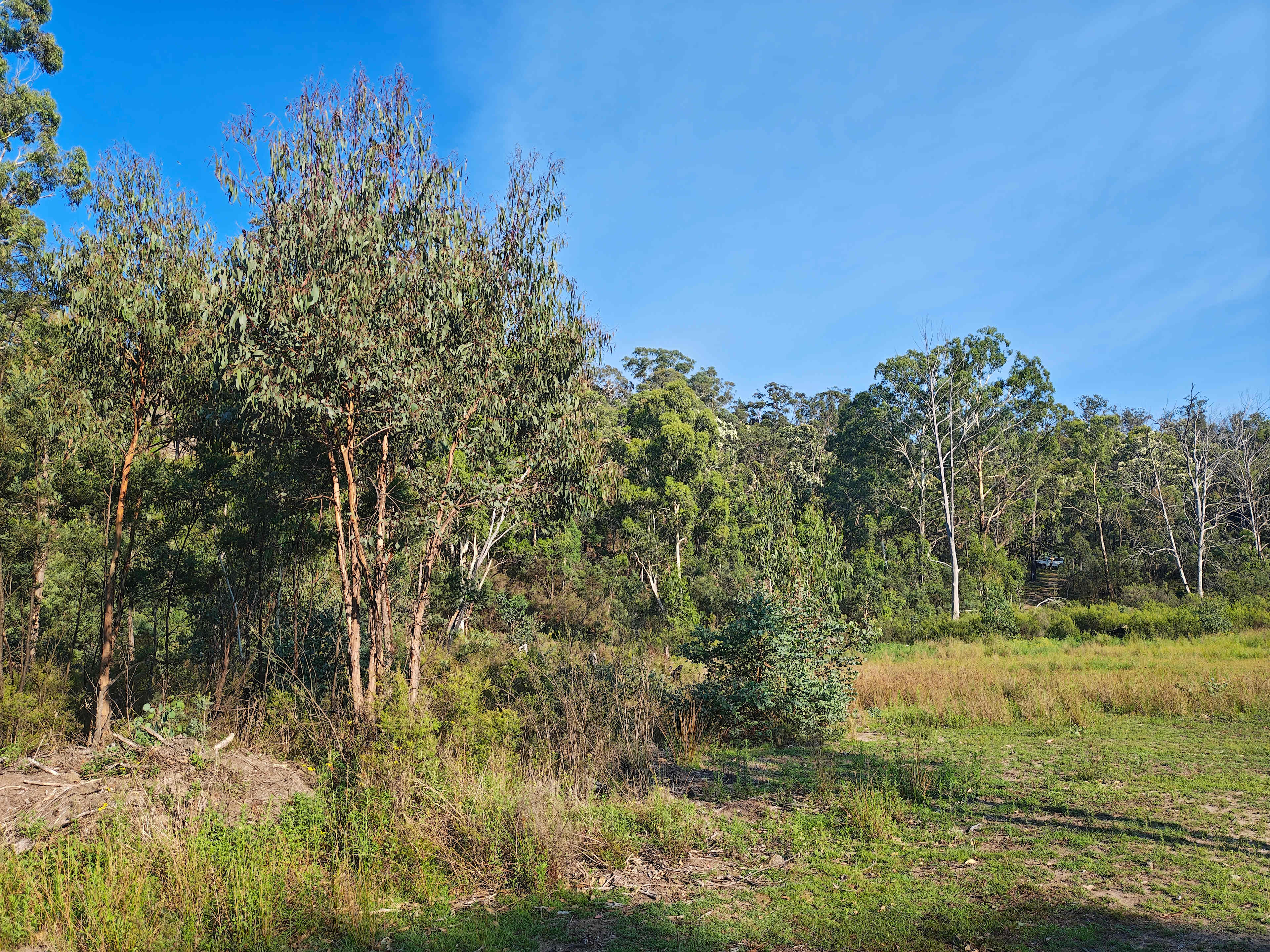 The Wollemi Art Farm