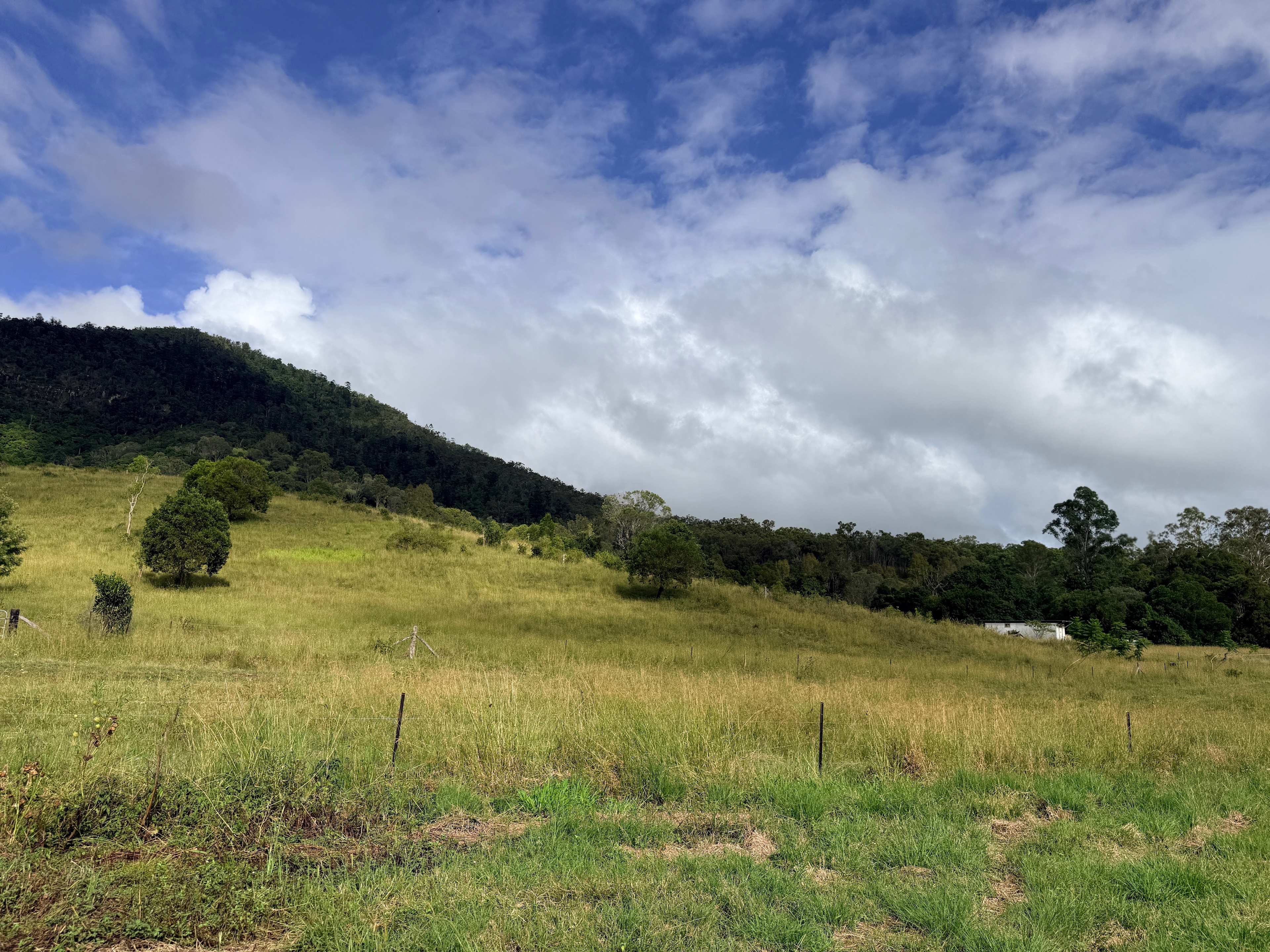 Hopevale Adventure Camping