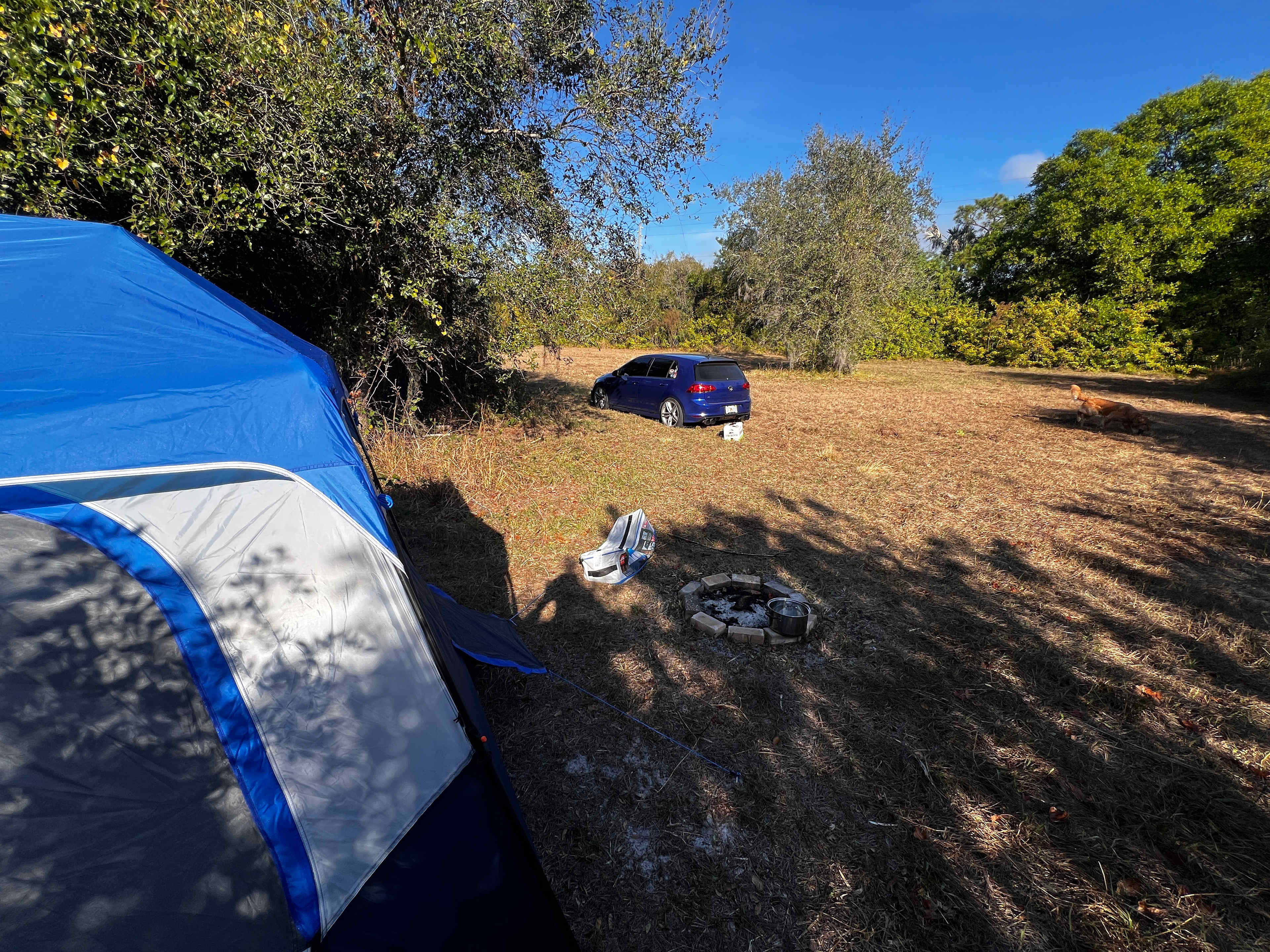 Magical Pond On Flitterbug Farm