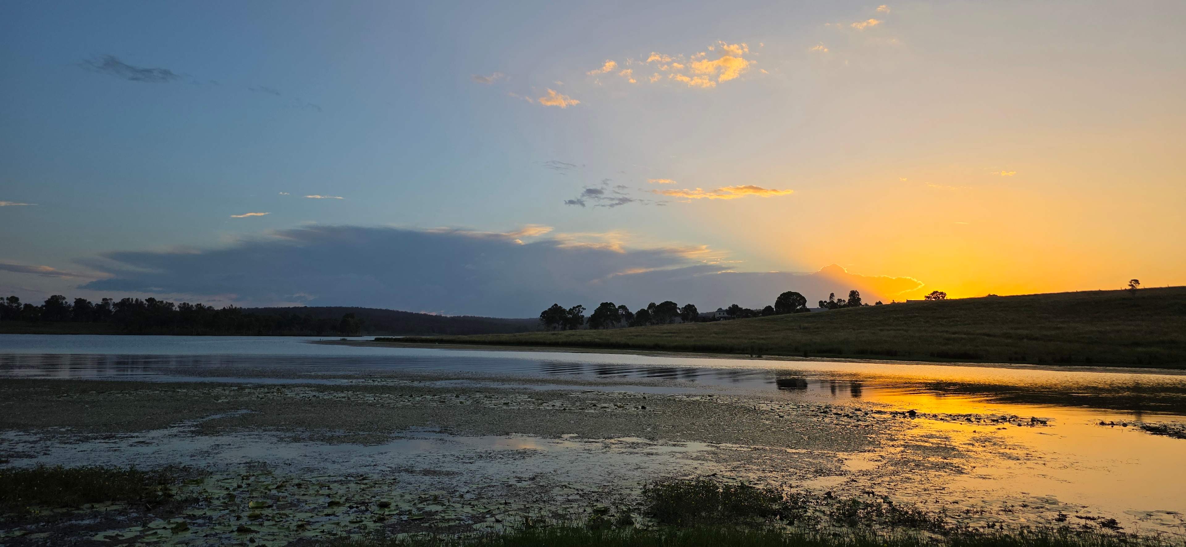 Hidden Gold Homestead