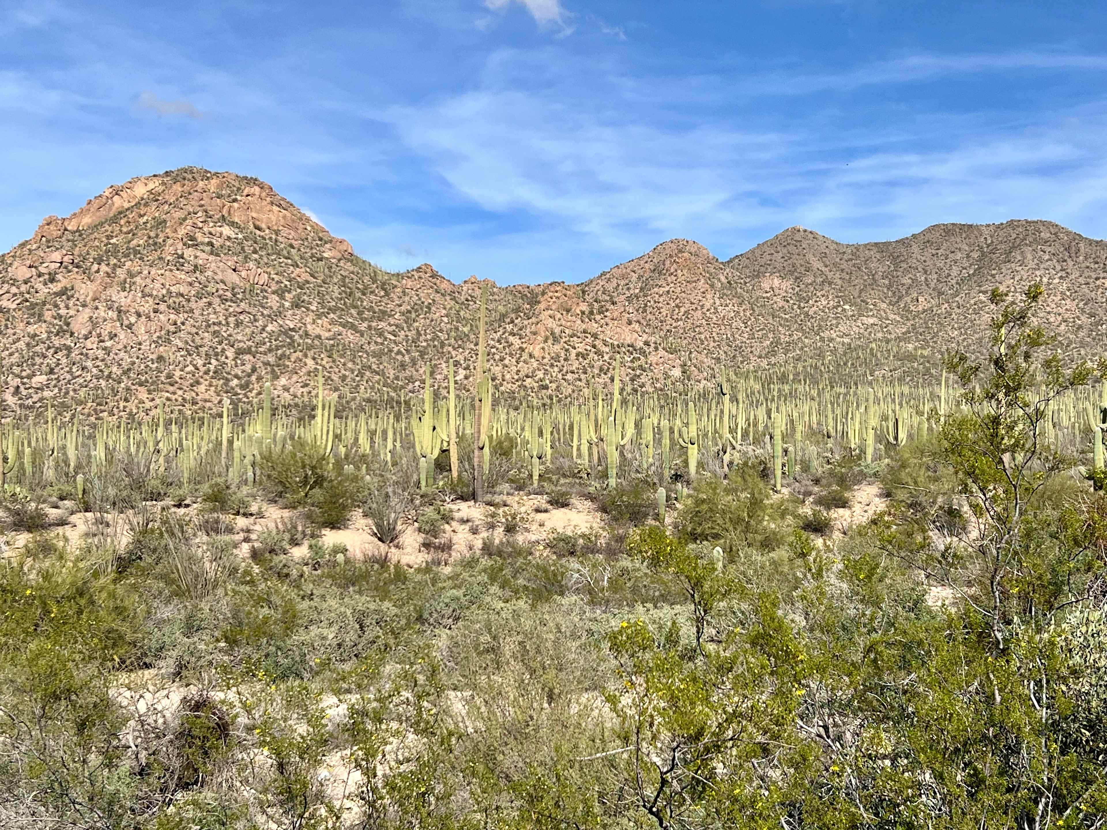 Gated Equestrian Retreat