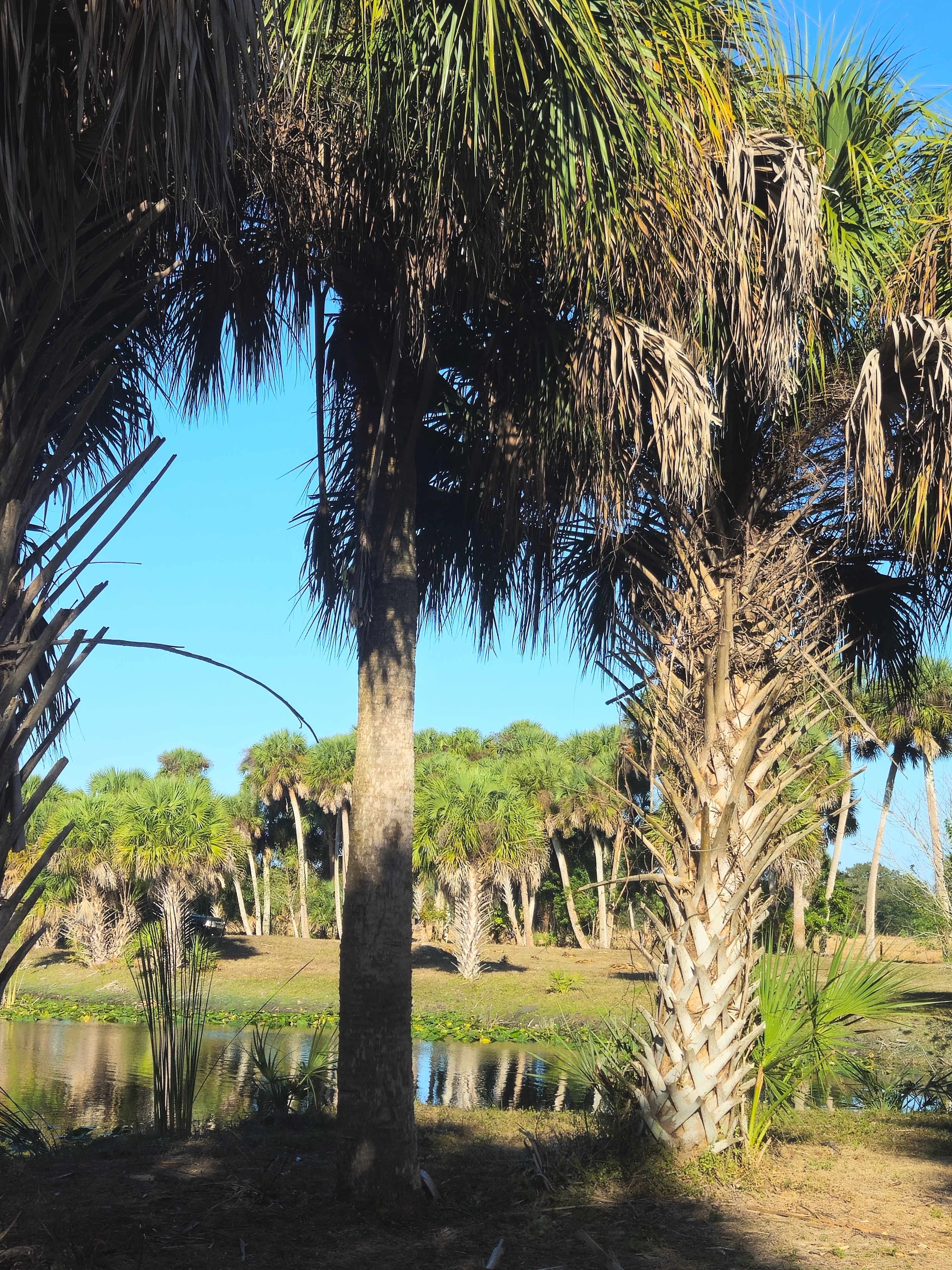 Blue Fox Ranch: Lake & Farm Camp