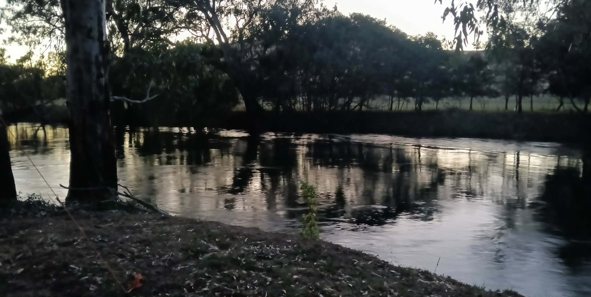 Bahwidgee on Tumut River