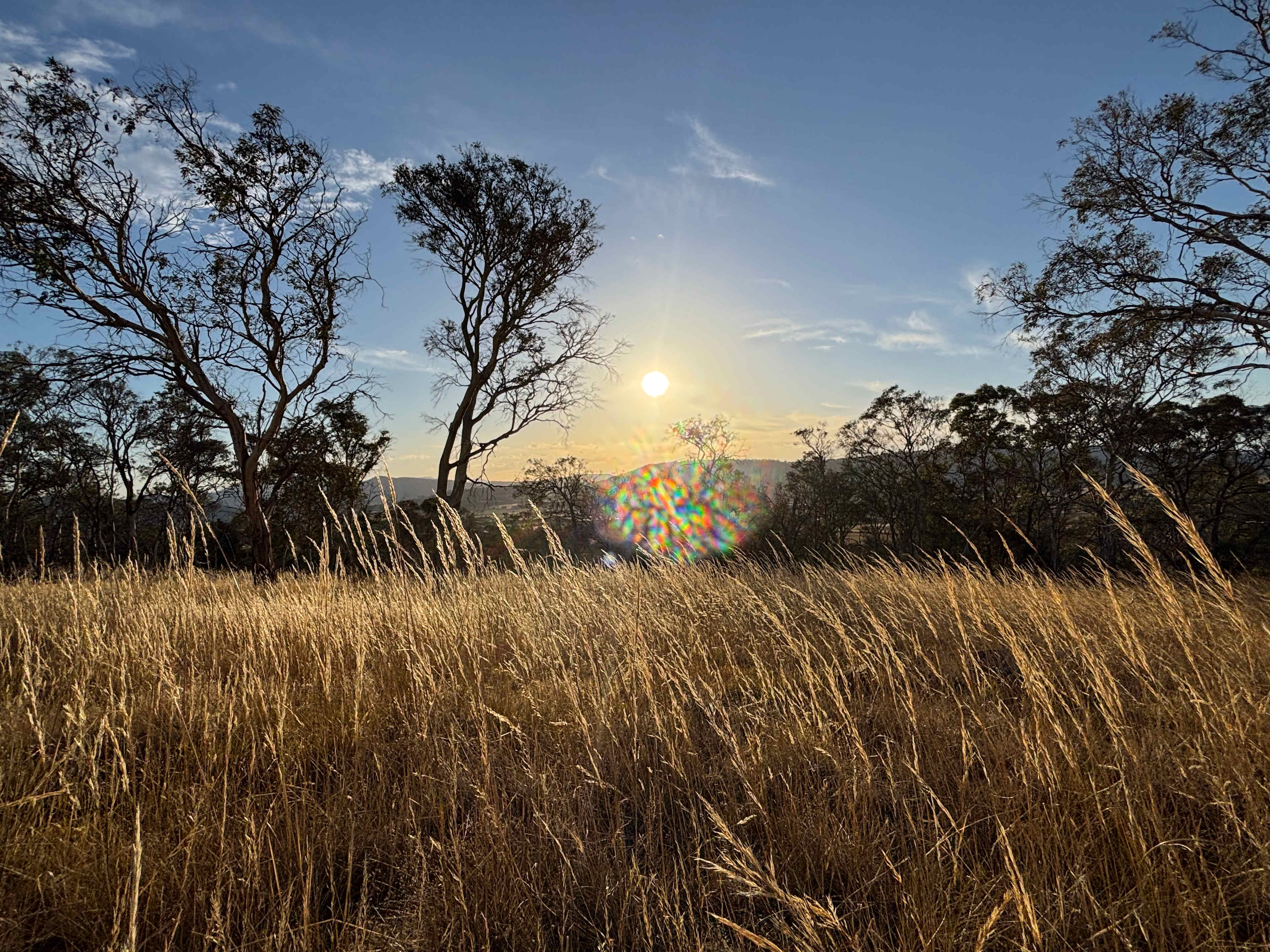 Watching the sun go down 