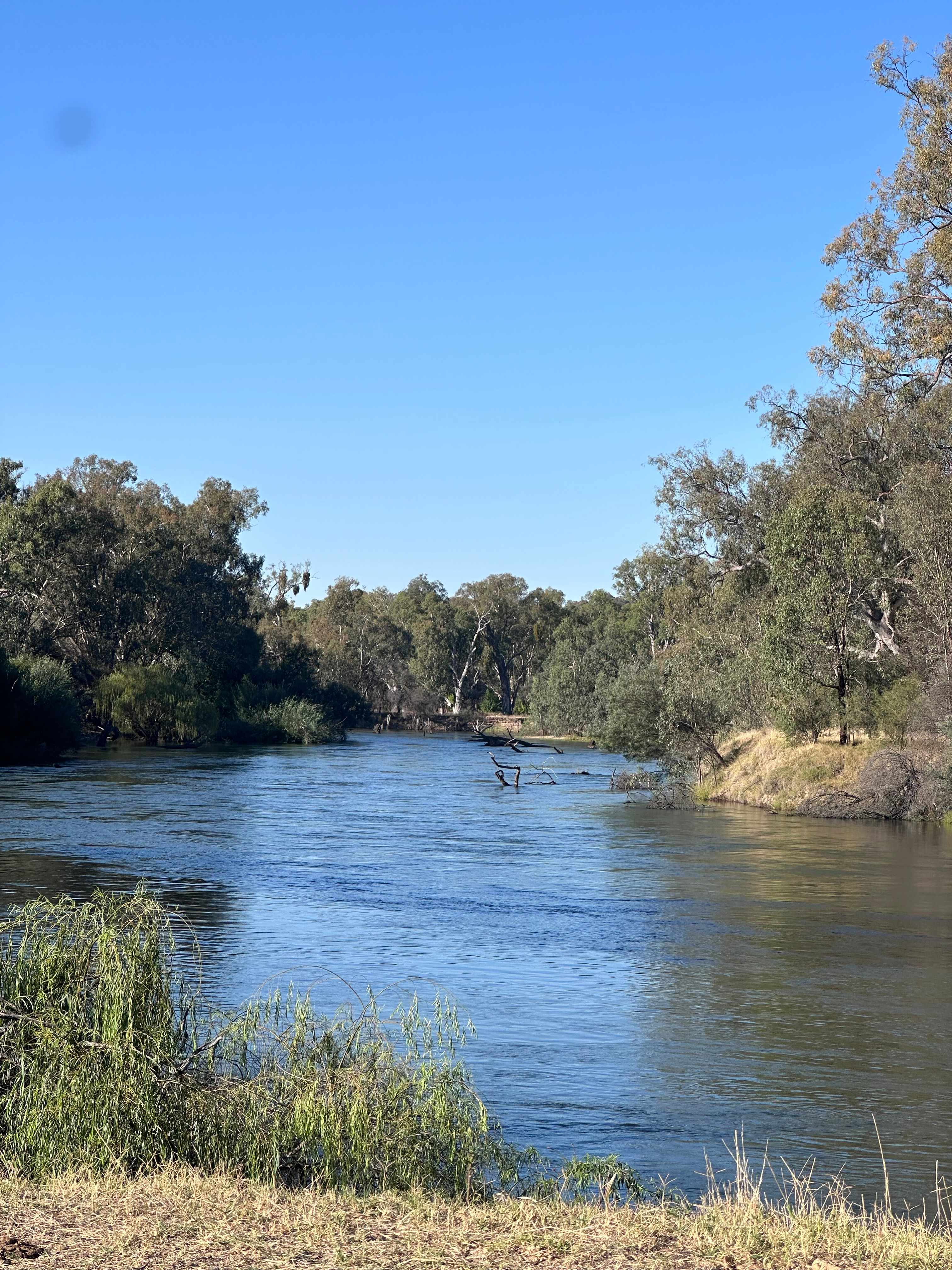 Willowbank on the Murray
