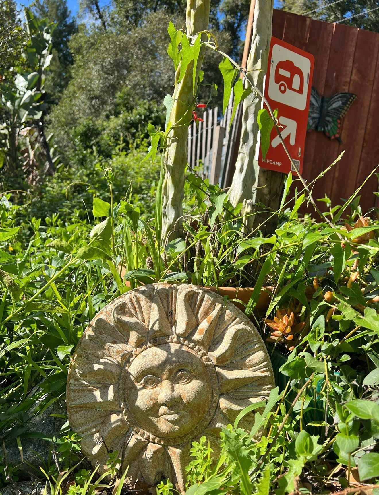 Fern Ridge Flats - Private Camping