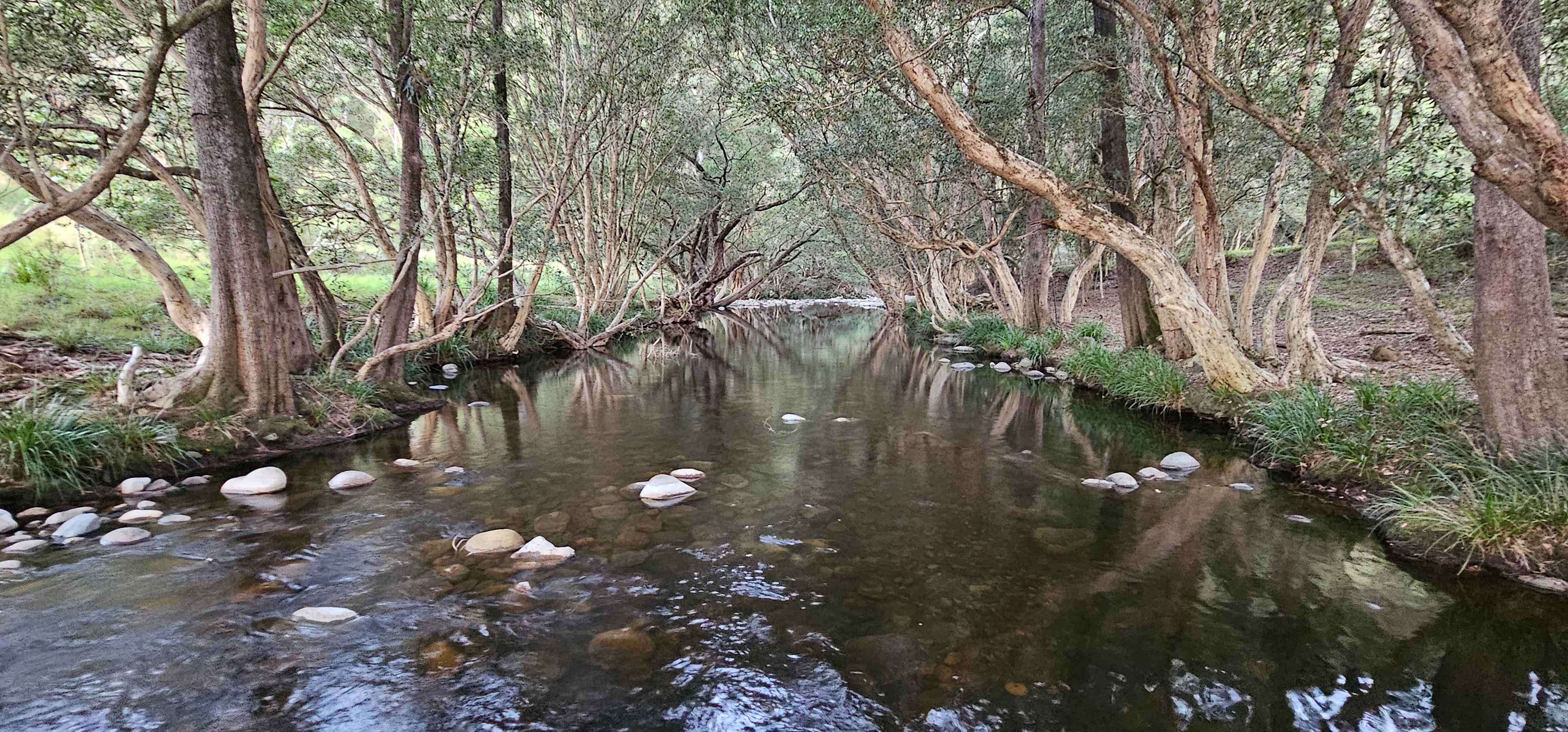 Elsewhere (Escape2Nature)