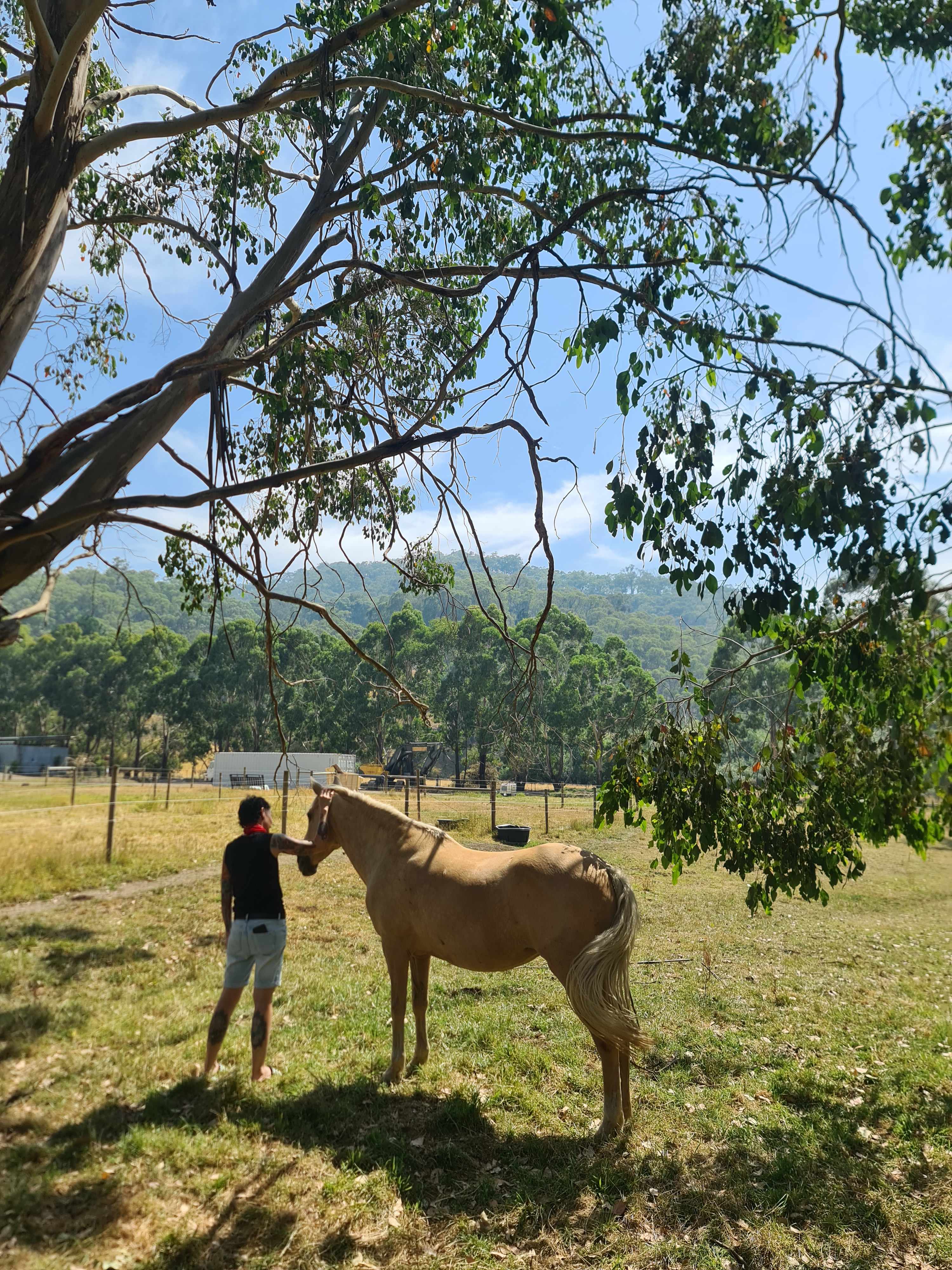 Wildcroft an Escape to the Country