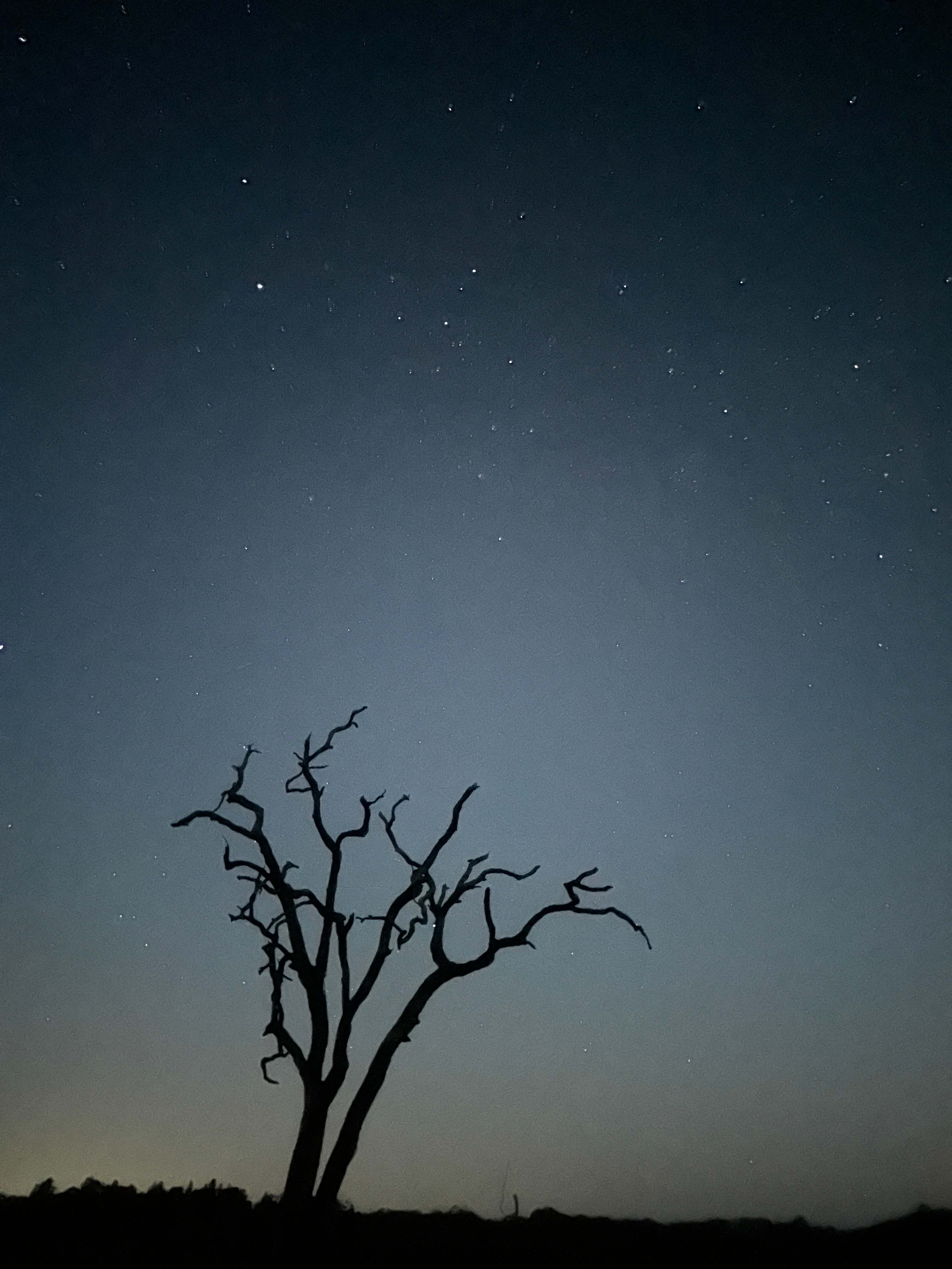 Canoelands Valley Camping