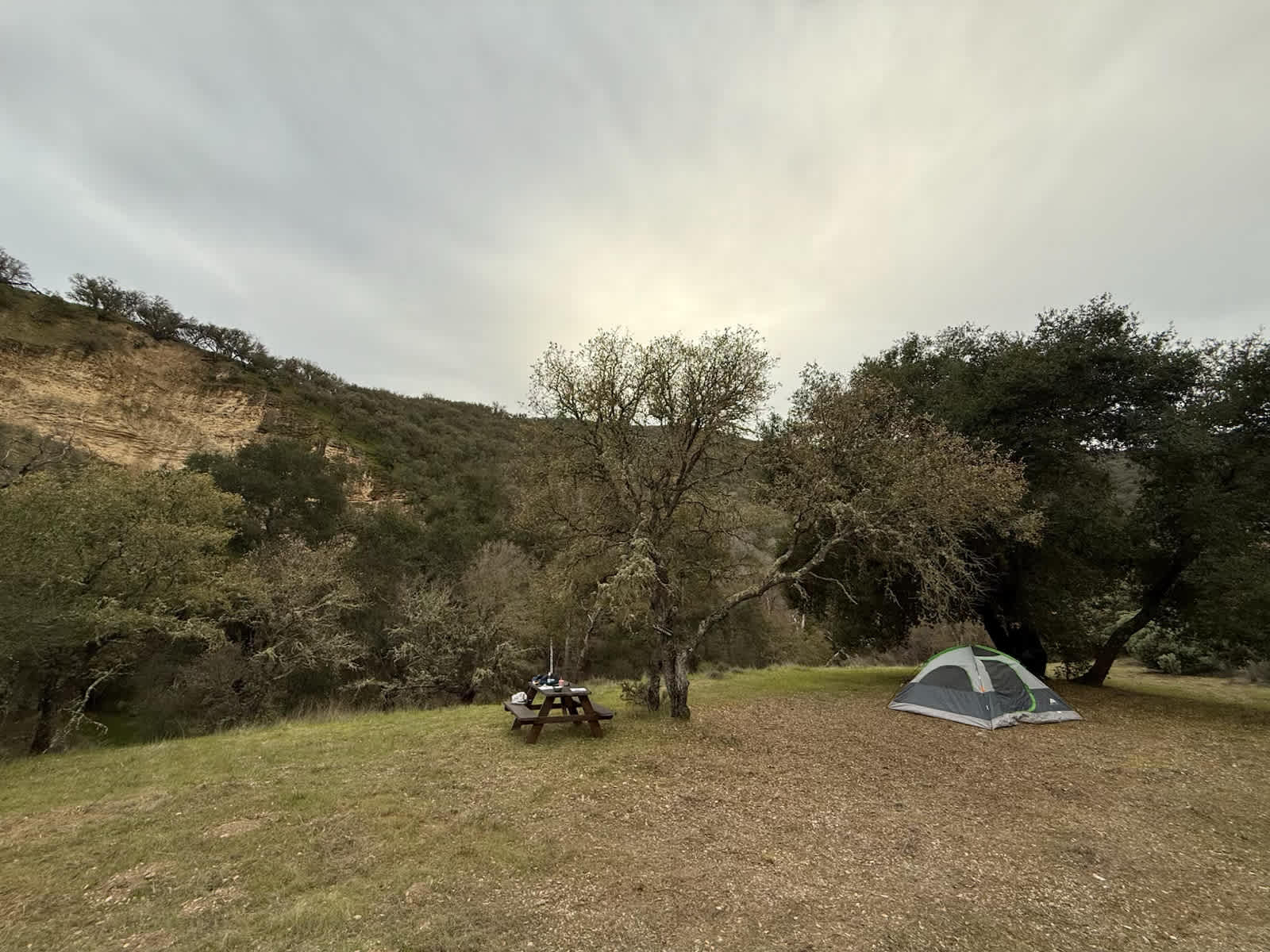Lavender Creek Camp