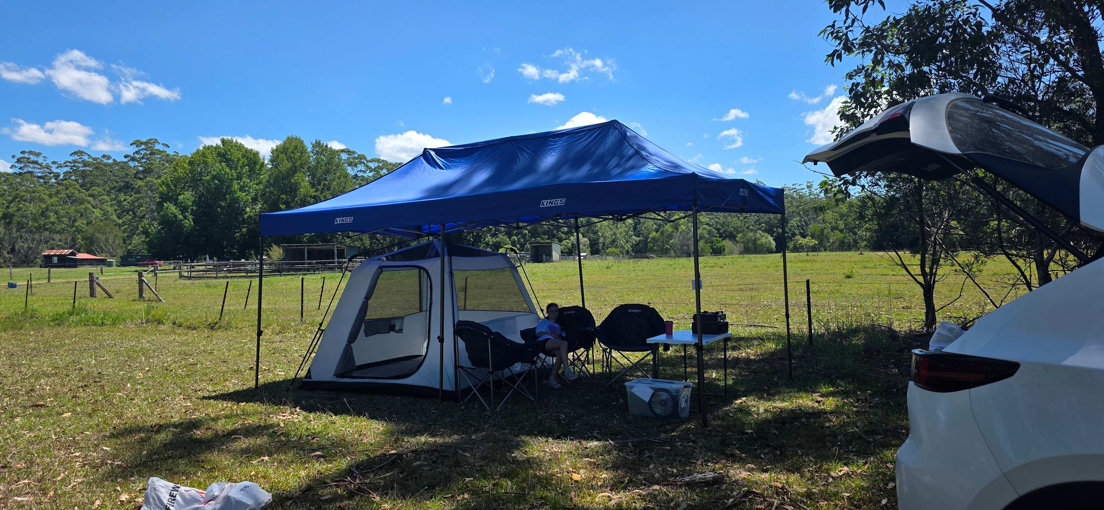 Spirit of the Forest