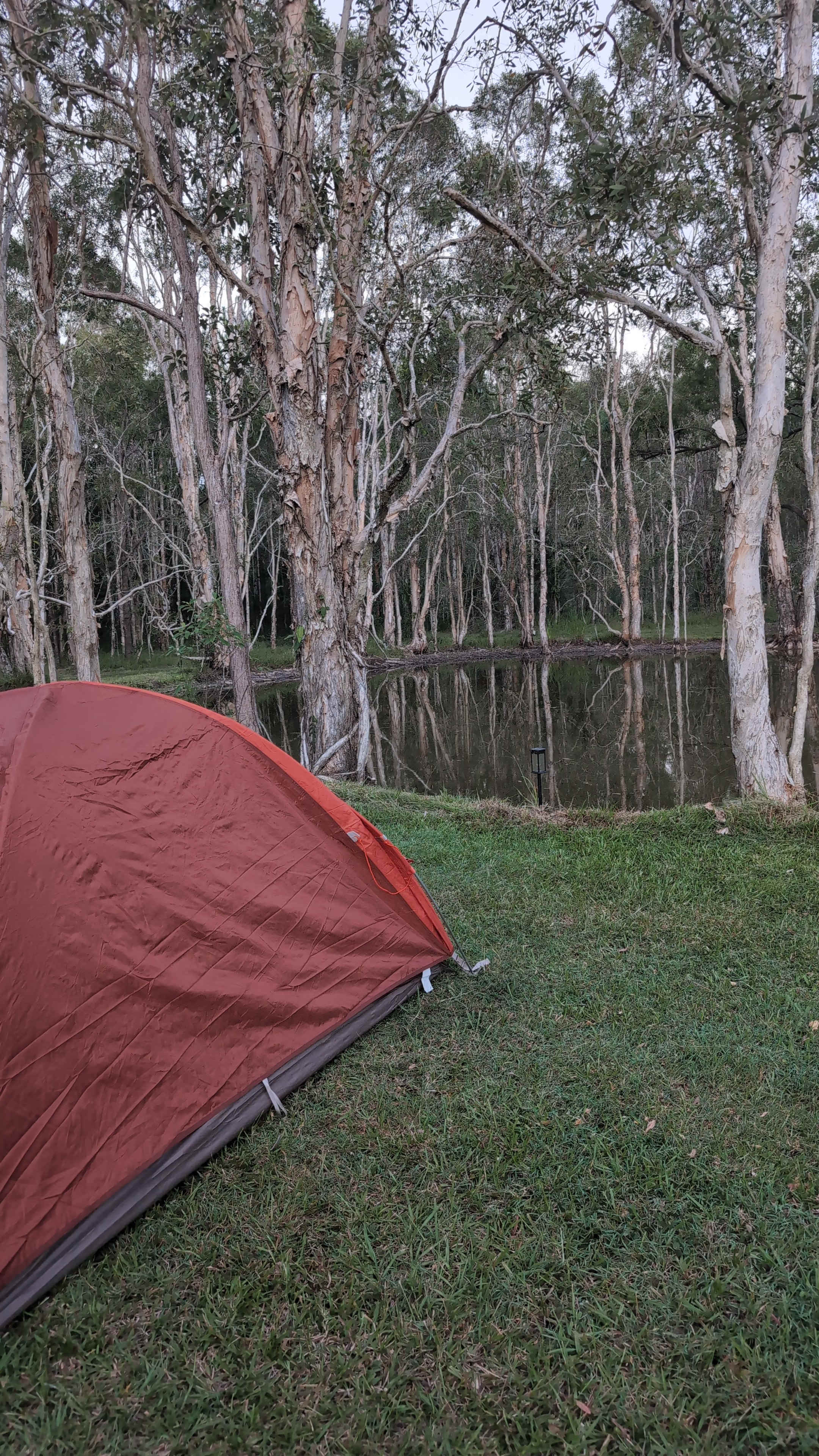 View from our tent 🏕️