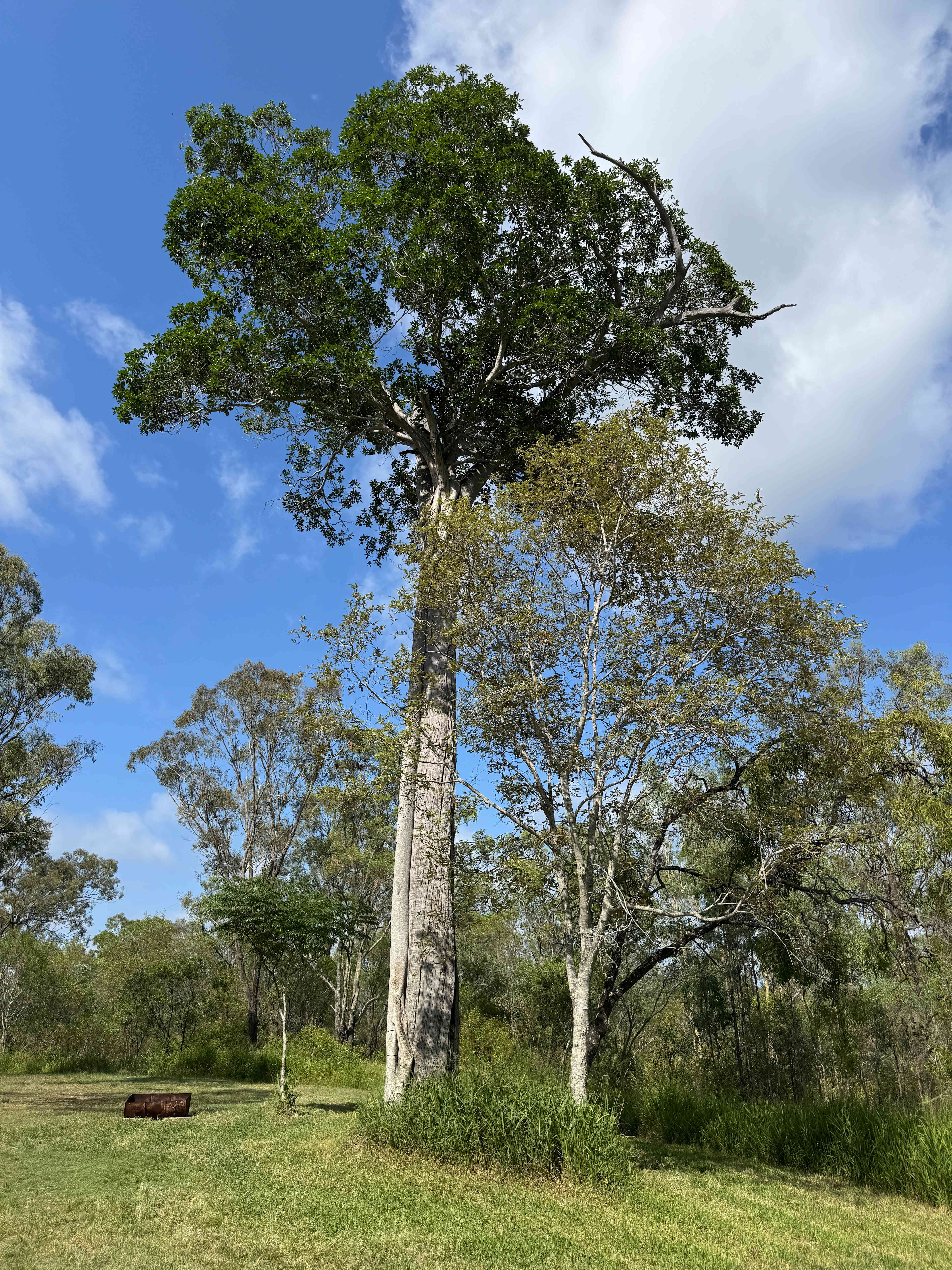 Northbrook Skies Camping