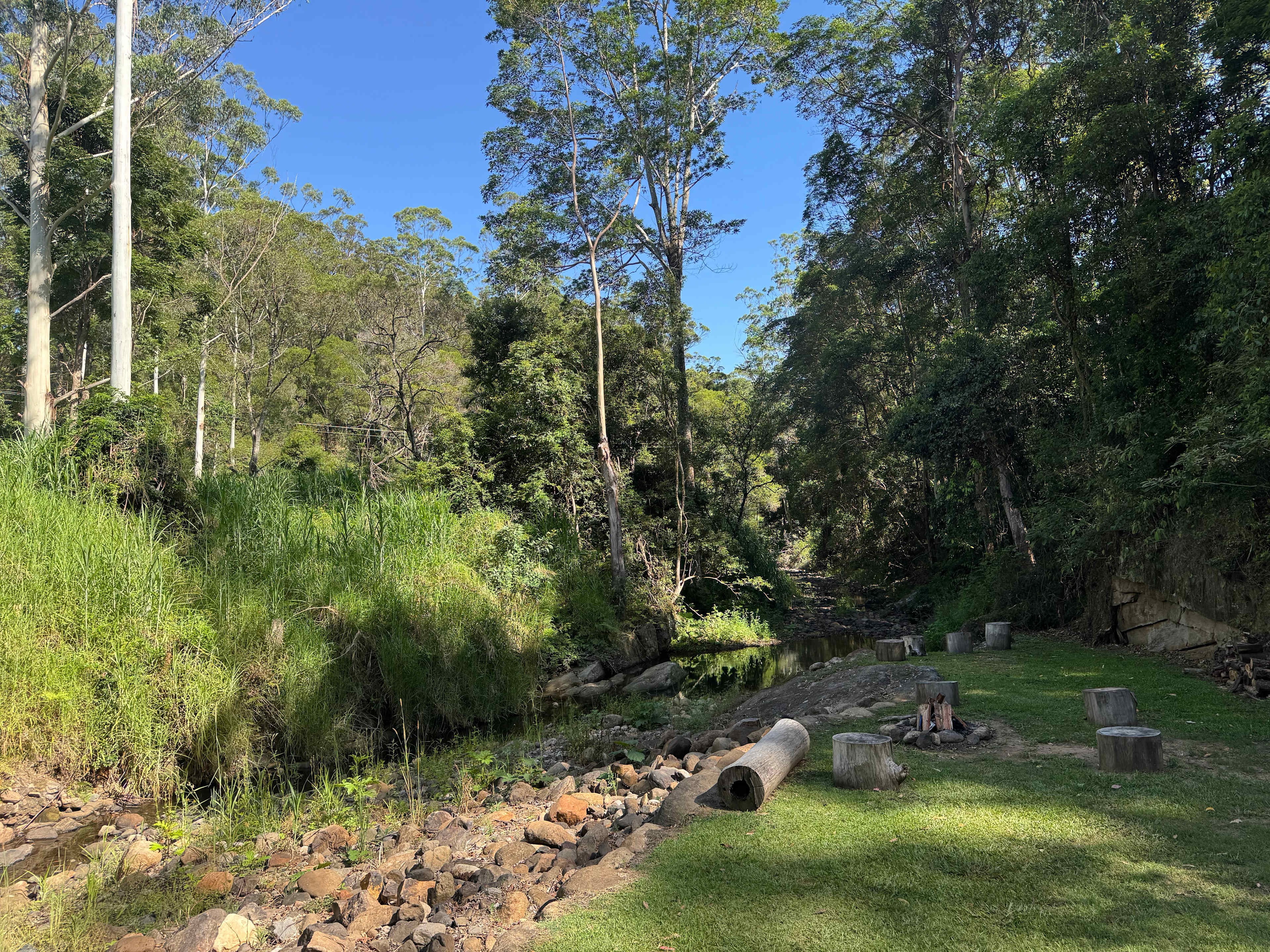 The view from the tent 