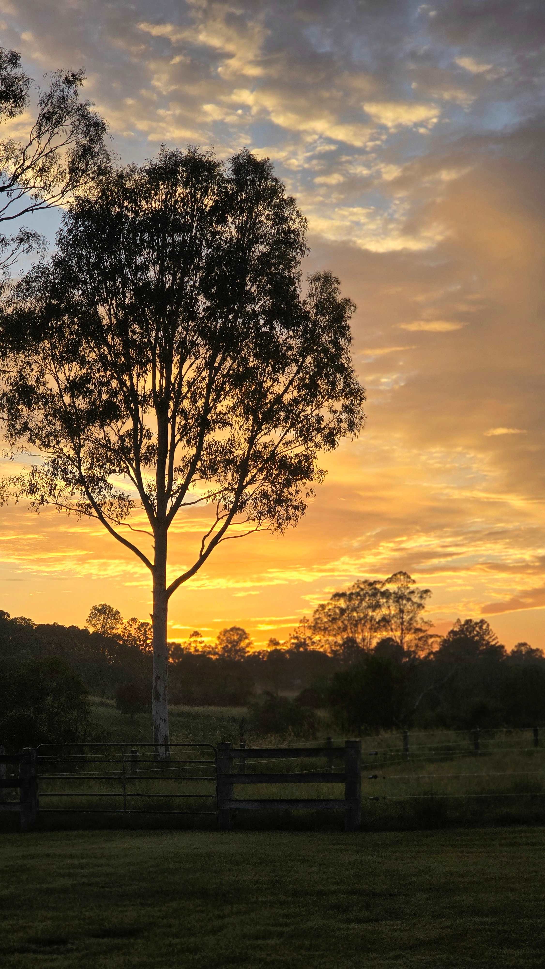 Prime Mary River Camping