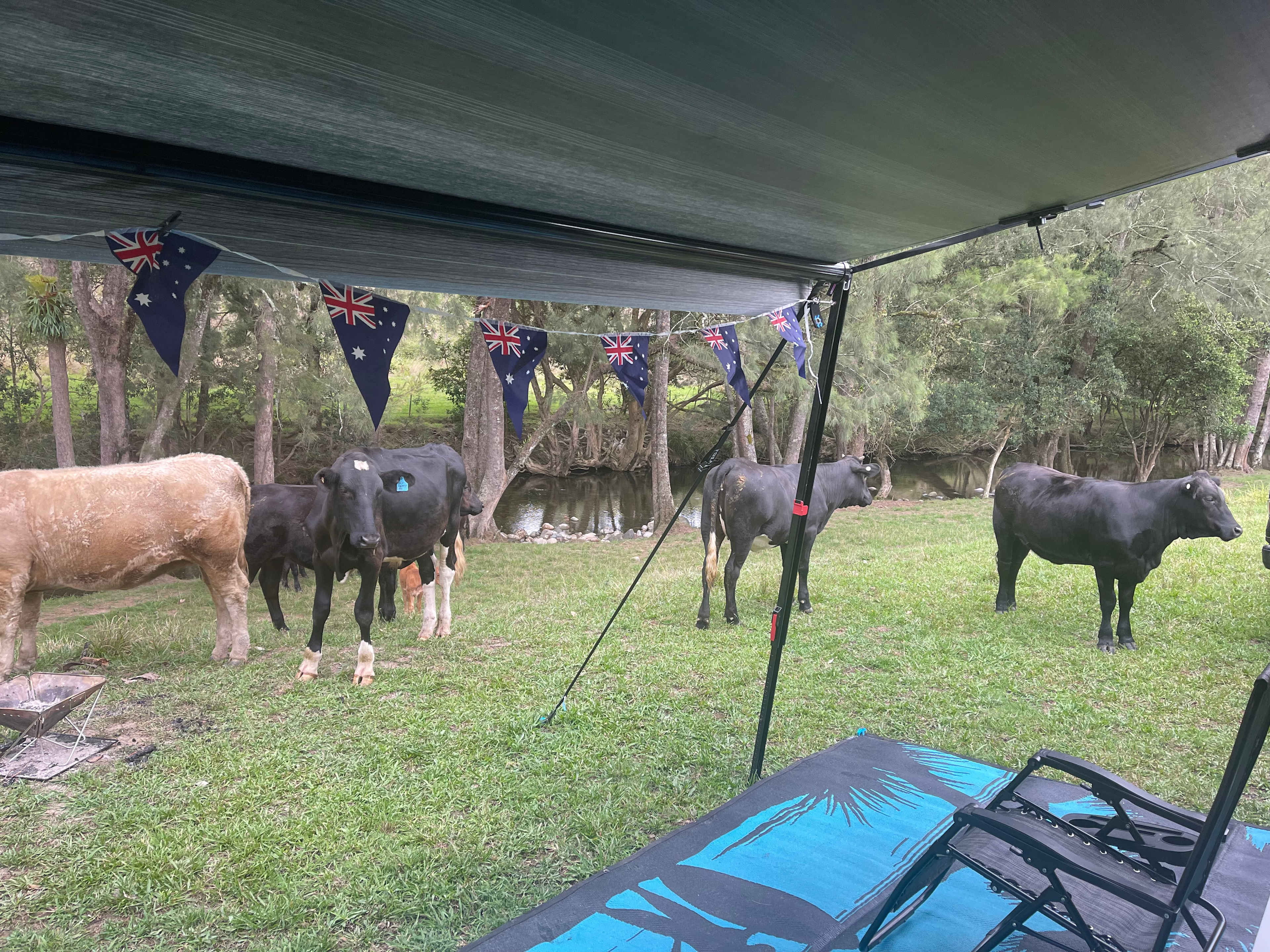 River Front Campsites