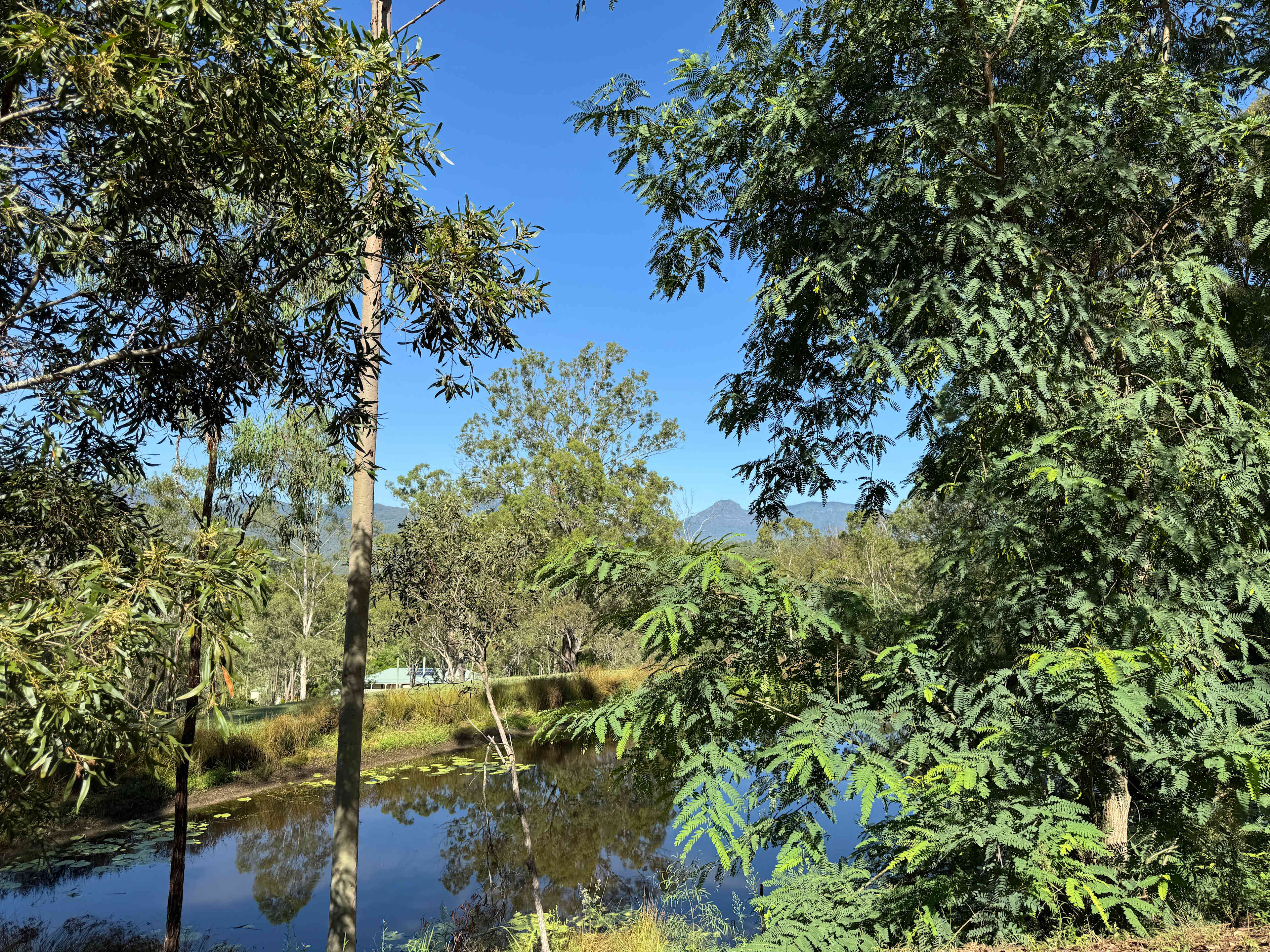 Views towards Cunningham’s Gap (Mt Cordaeux)