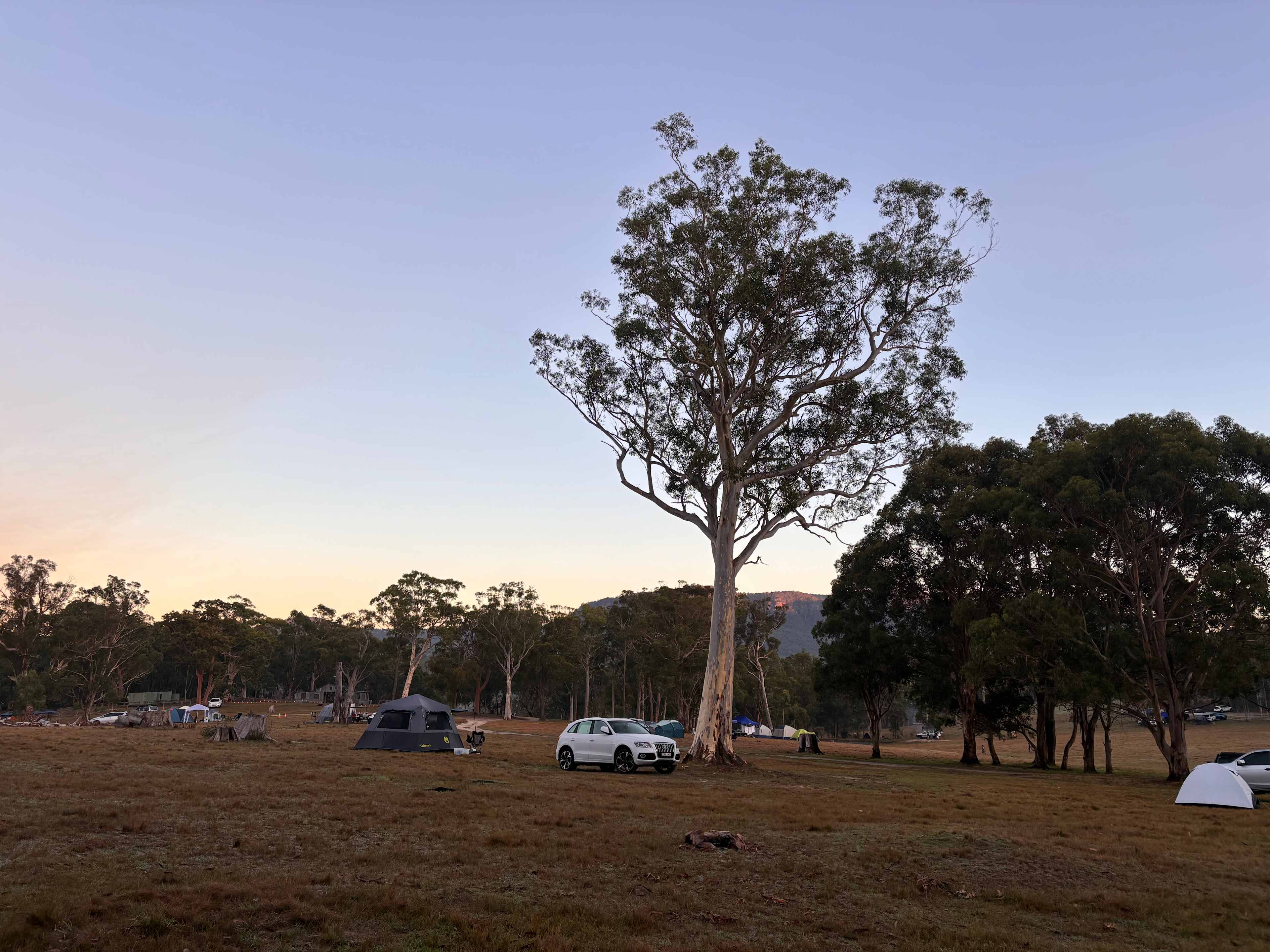Megalong Valley Farm