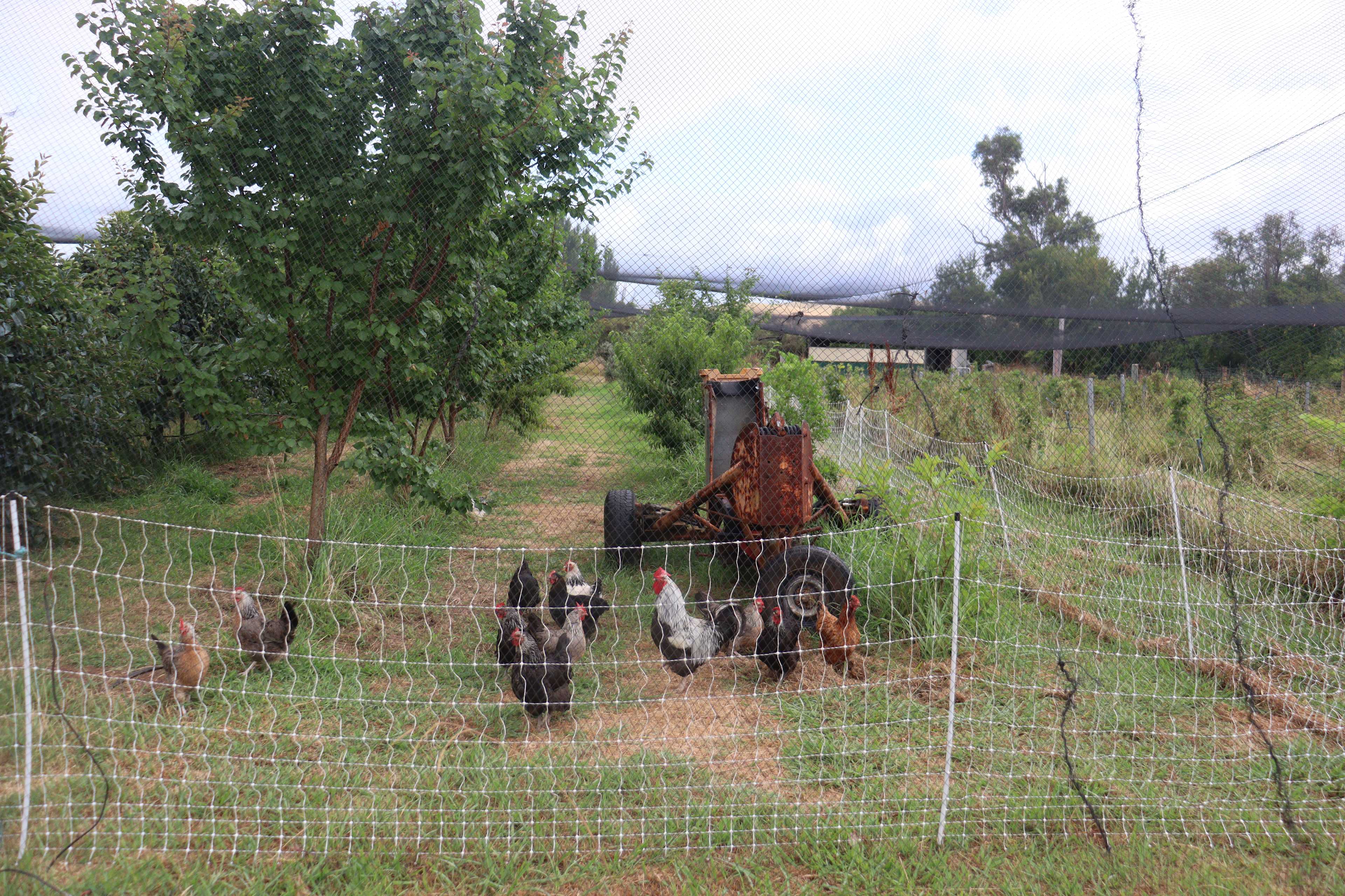 Brookhampton Valley Farm Getaway