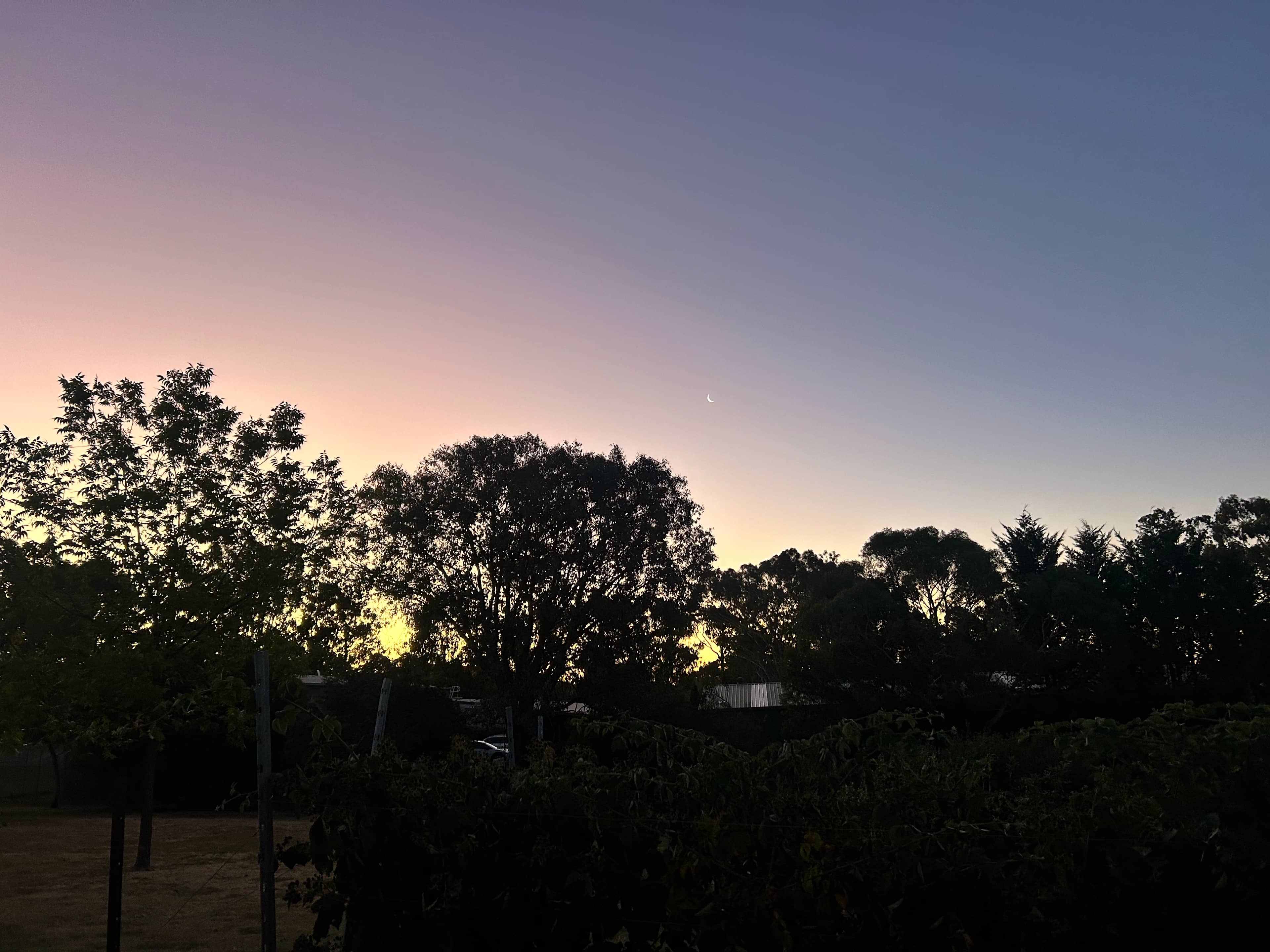 The Little Berry Farm