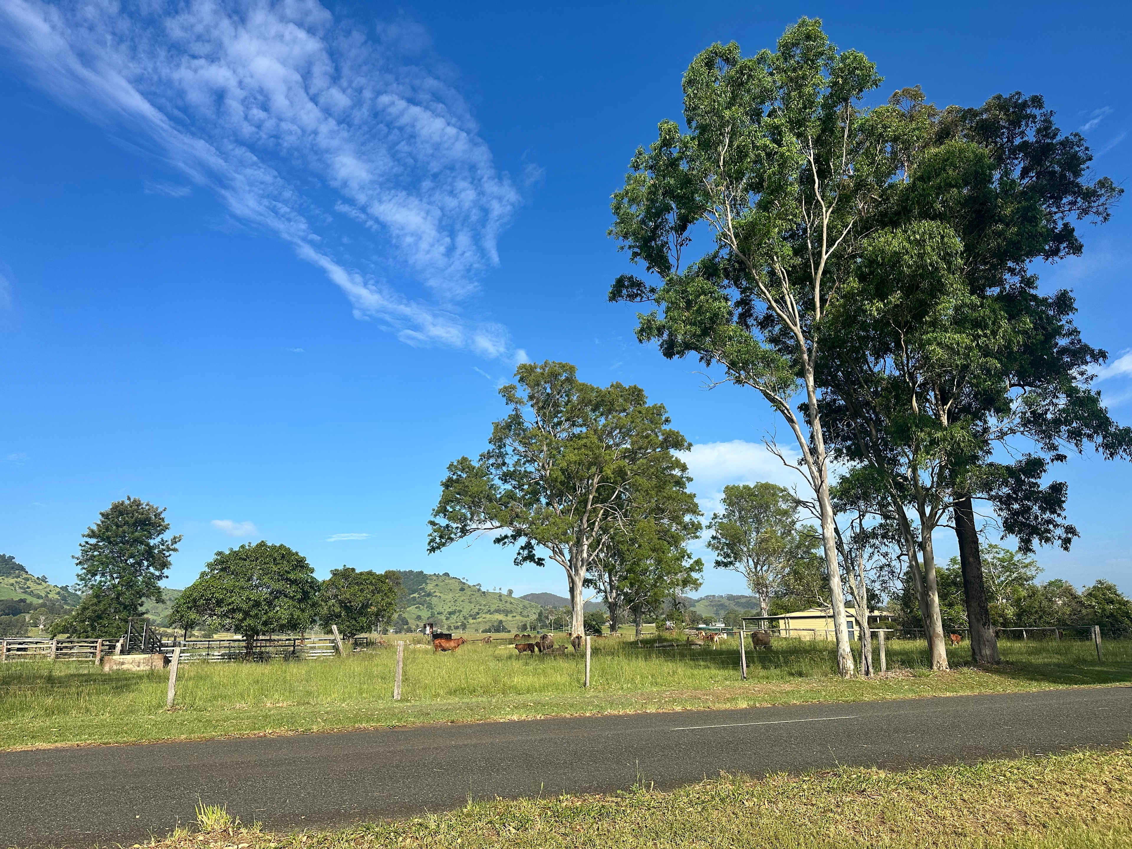 Kia Ora Pony Club - Hot Showers!