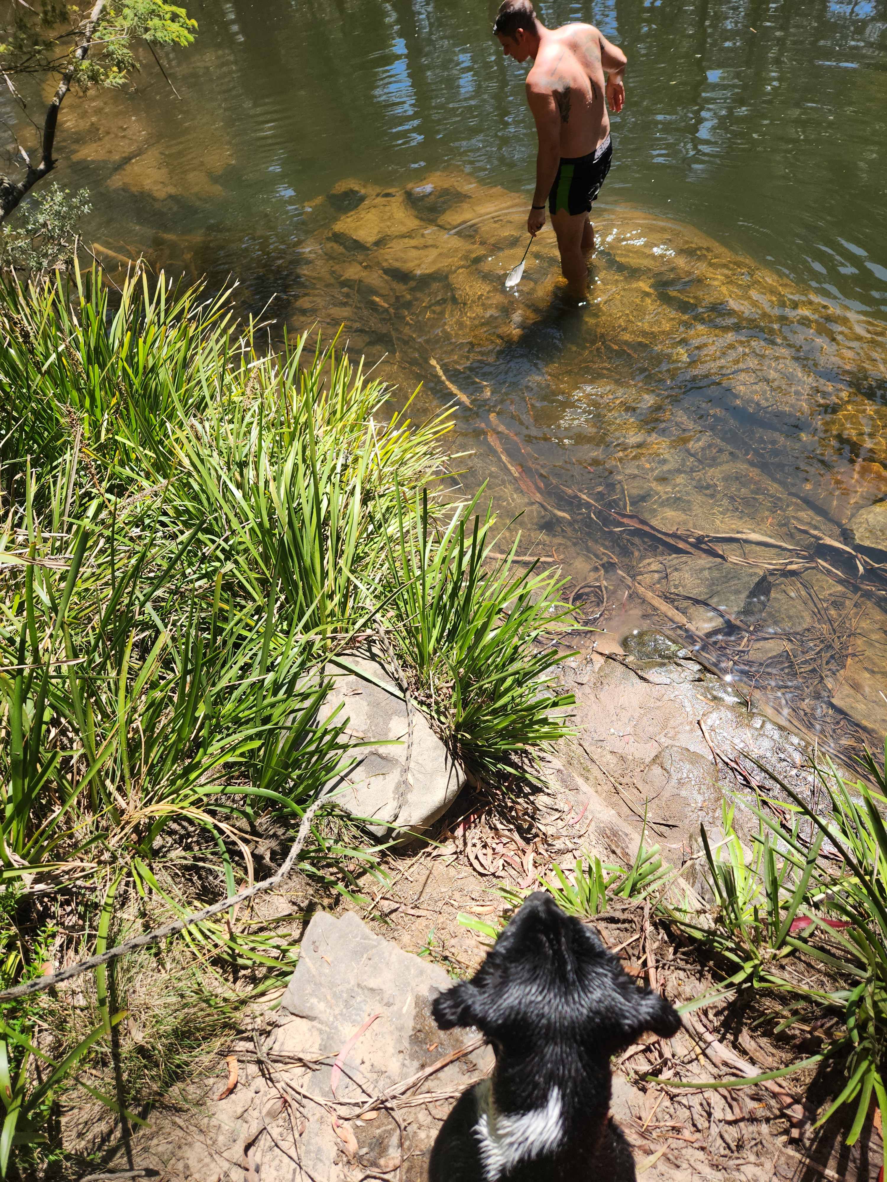 Scribbly Gum secluded bush camping