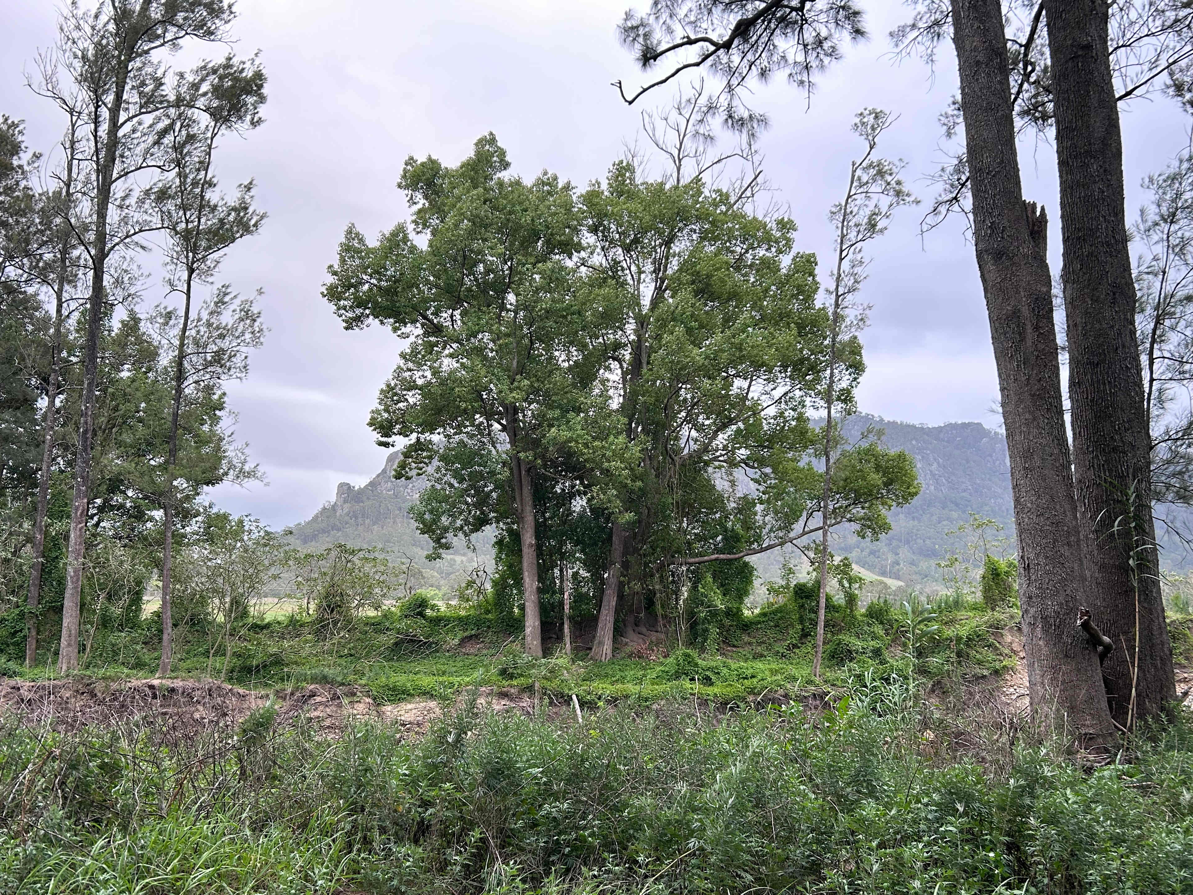 Beautiful vista from our van.