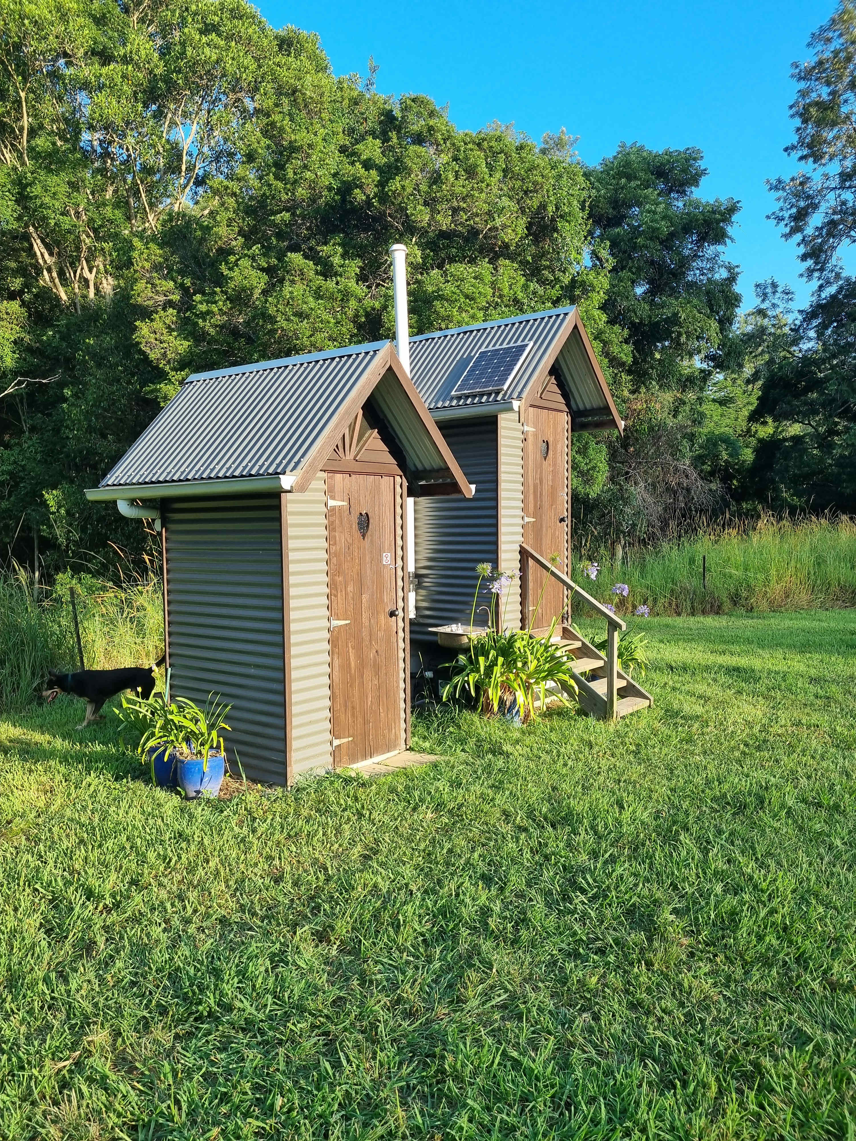 McKenzie Creek Campsite