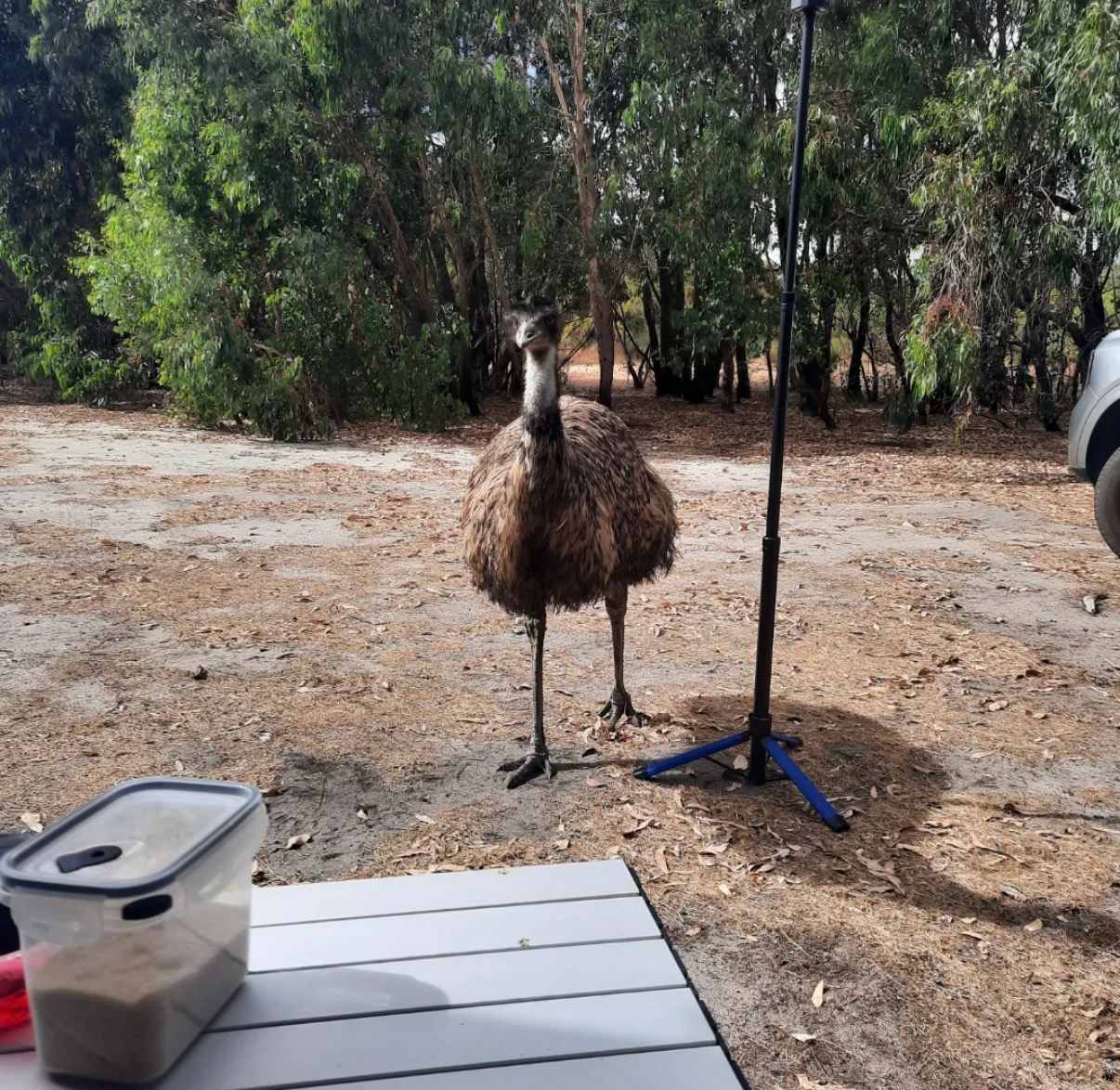 Herron Point Farm Stay