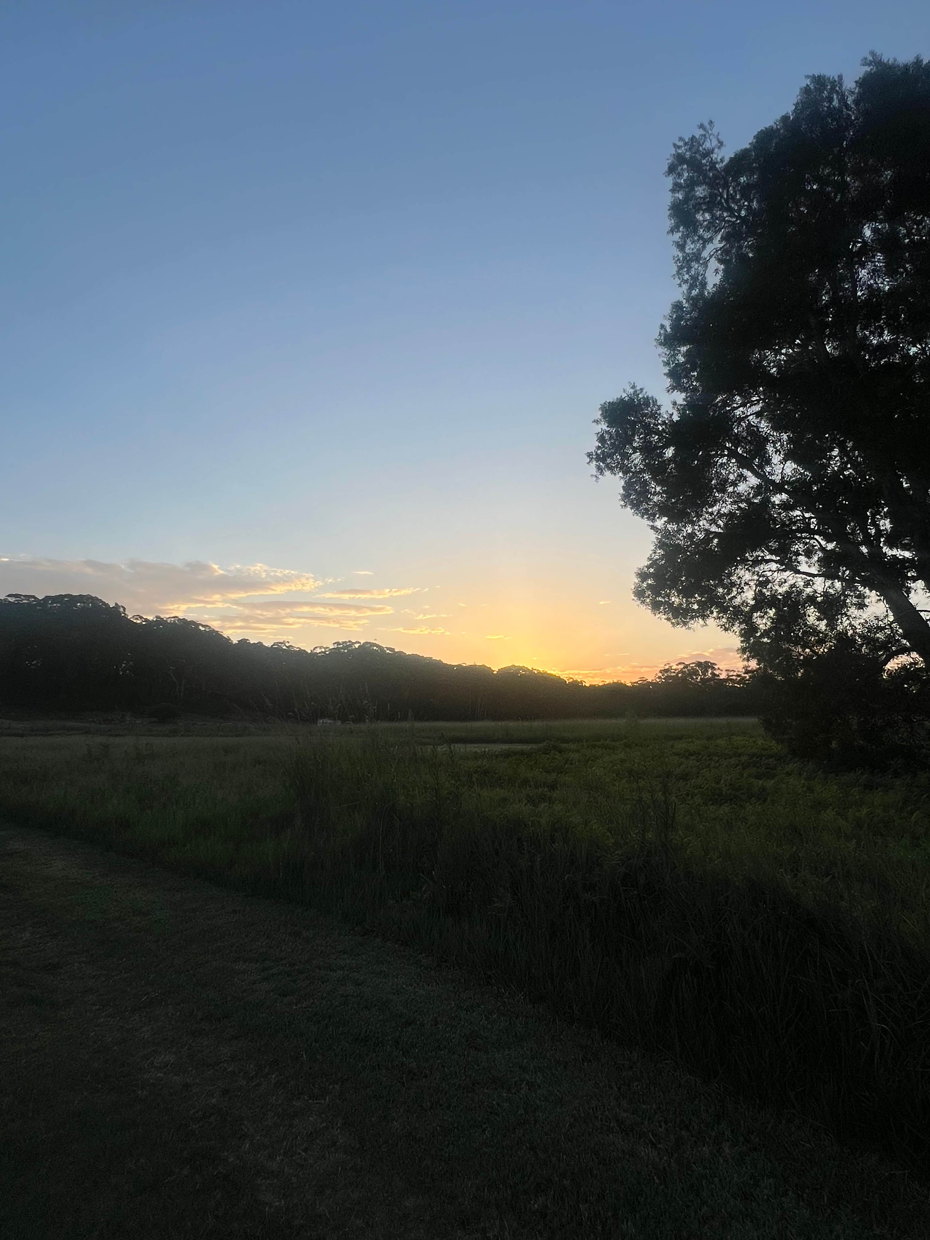 Waves 'n Ripples Anna Bay