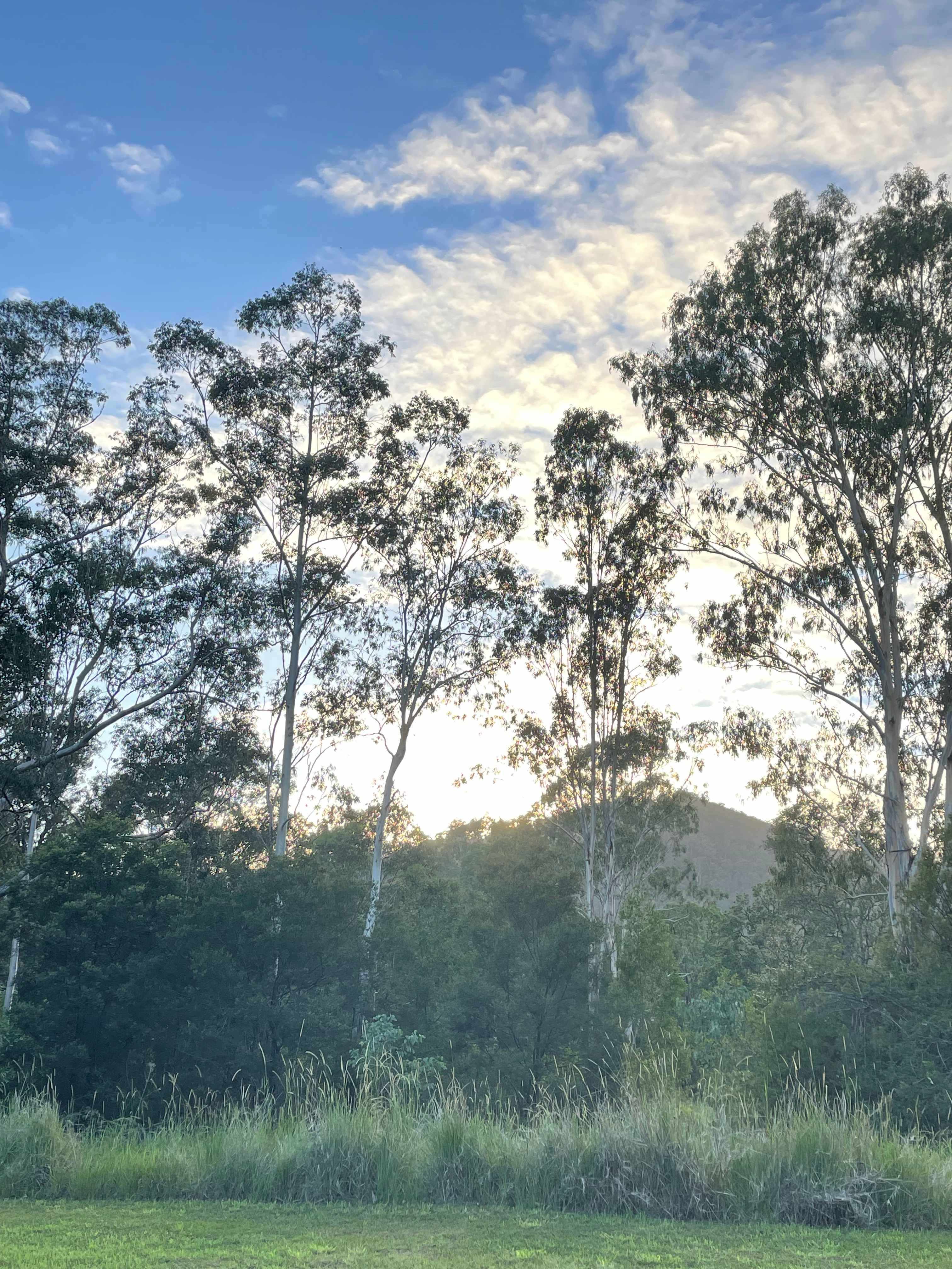 Sunrise and disappearing mist