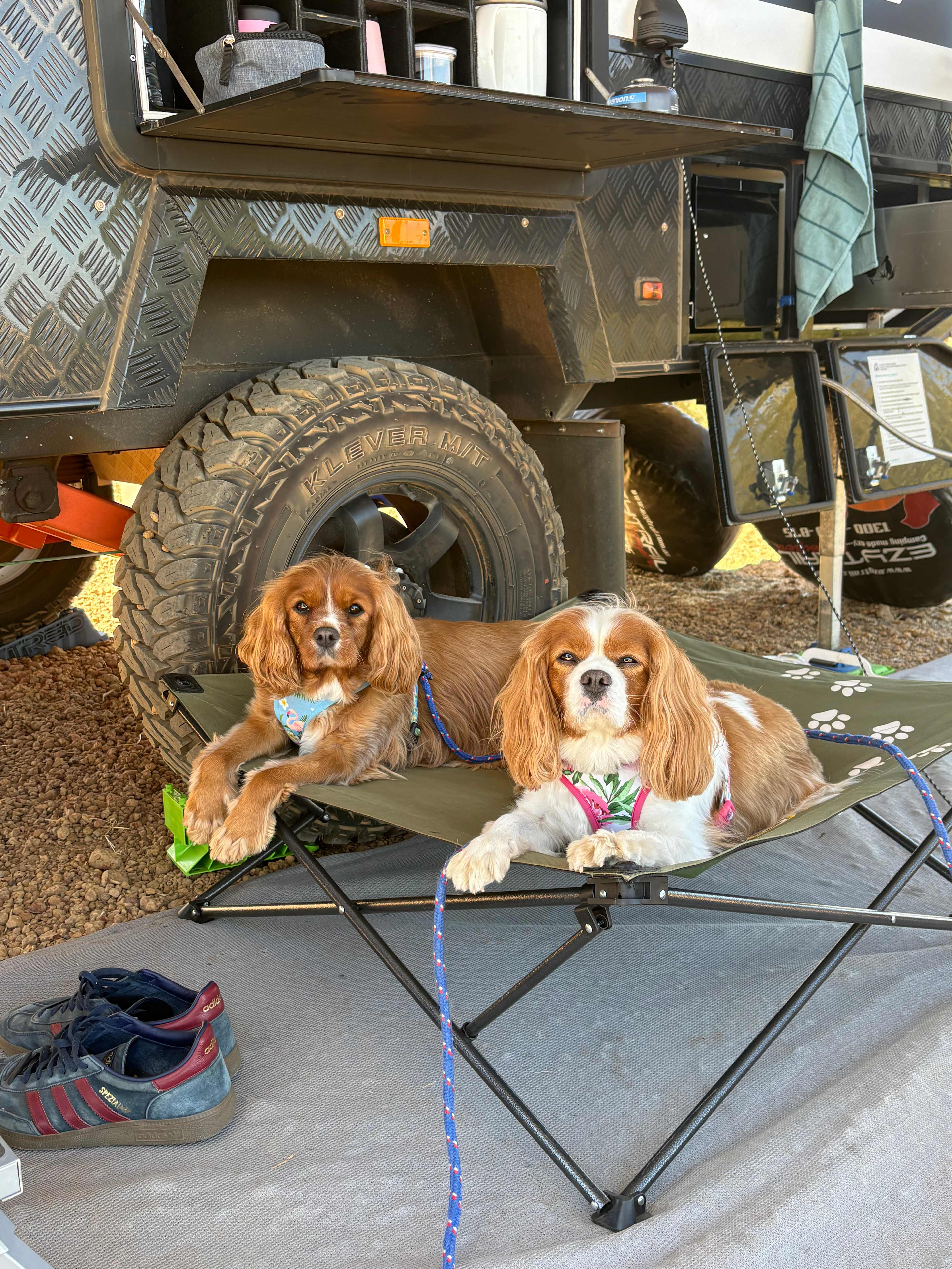 Sunset Ridge Camp Sites