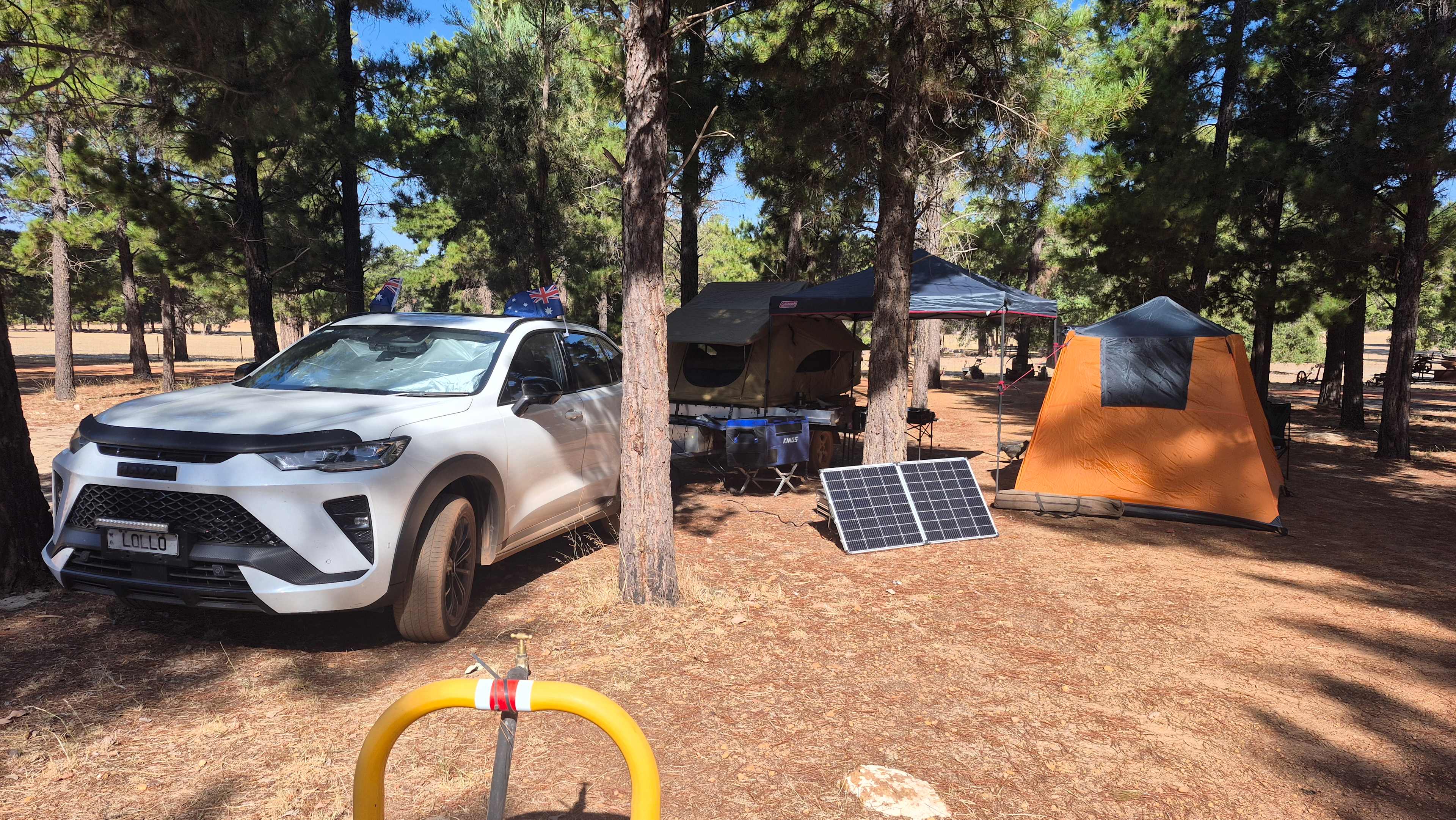 Little Eeden Farm Pine Camp