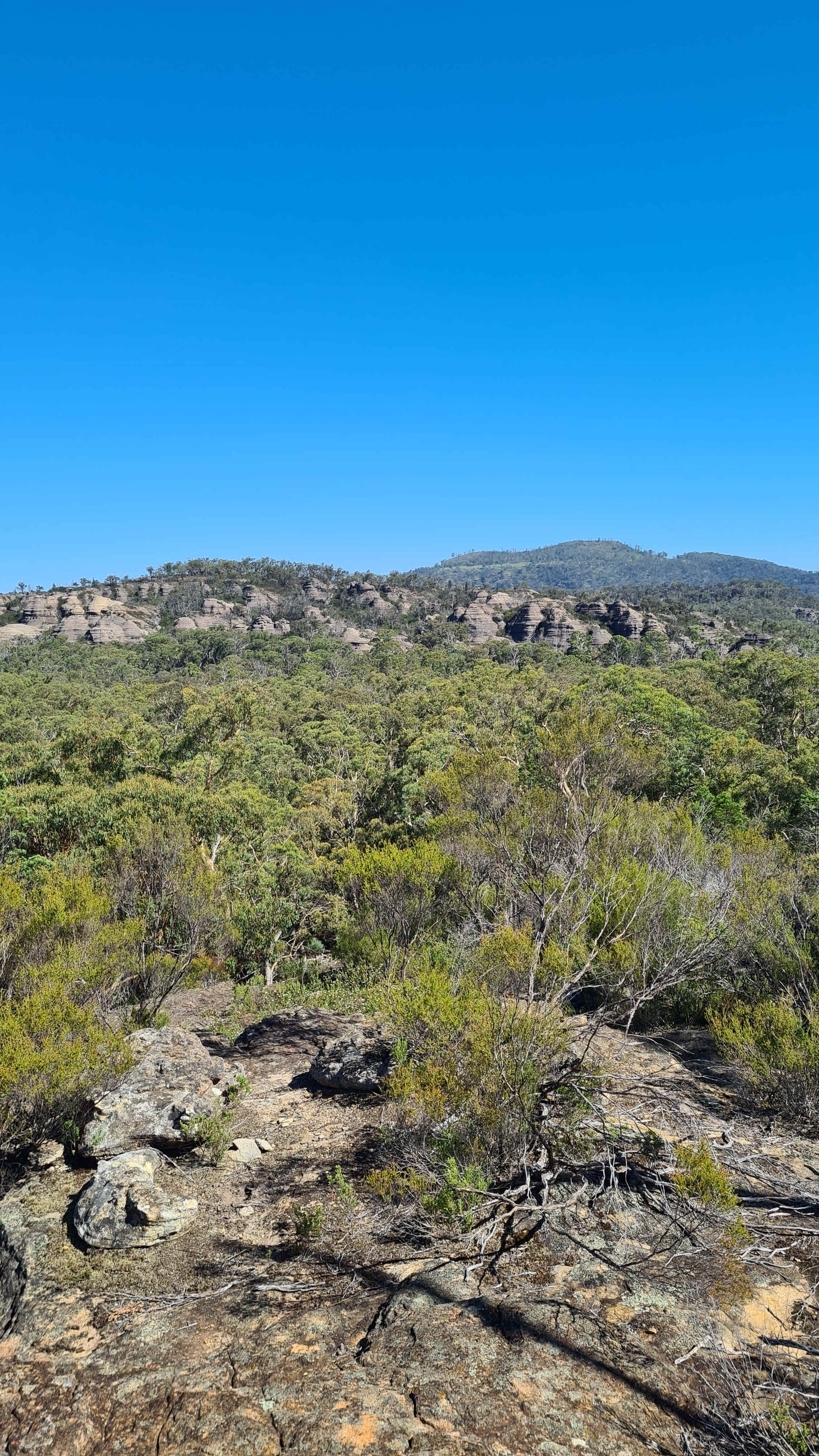 Views from The Summit walk