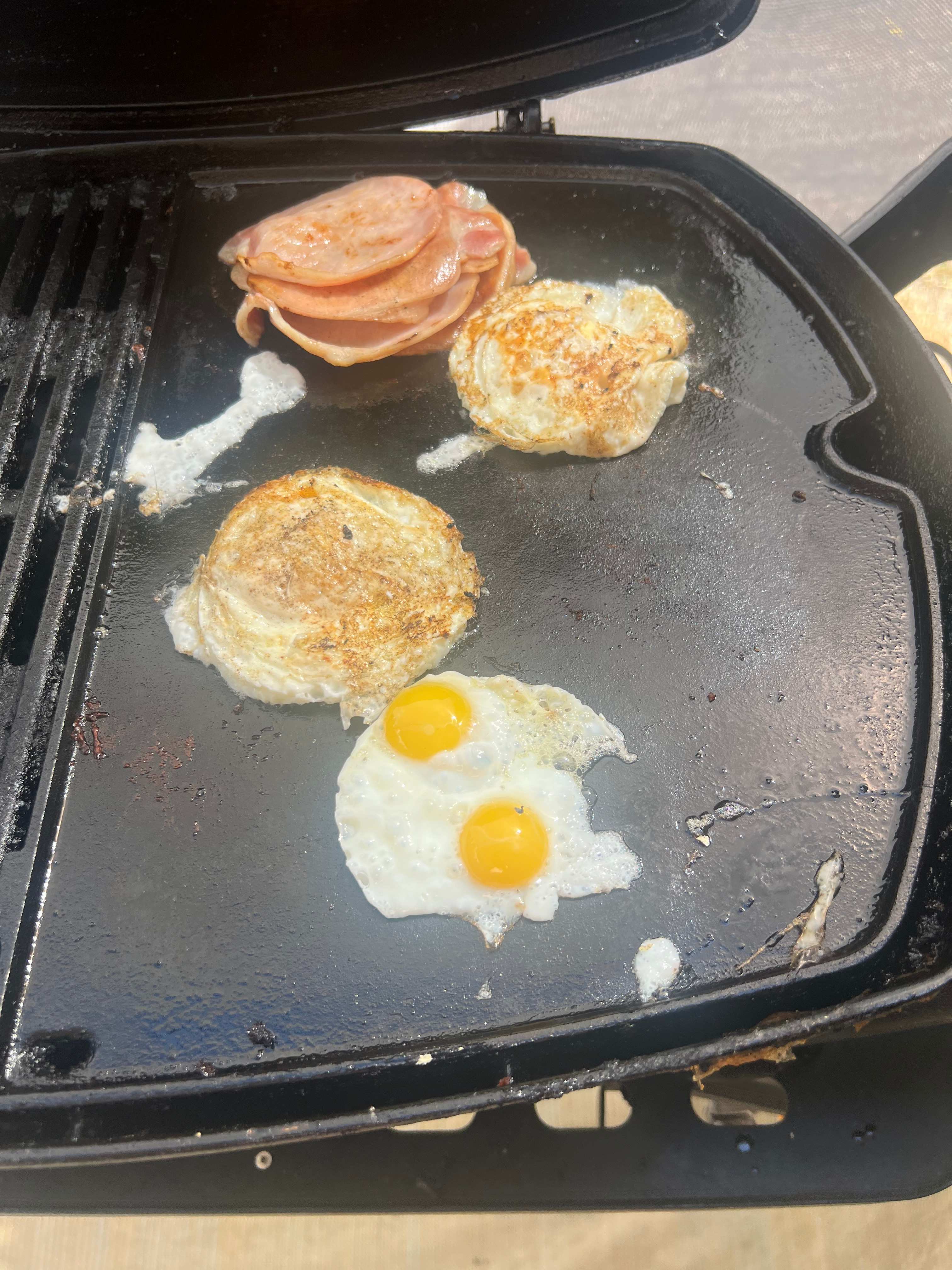 Beautiful quail eggs