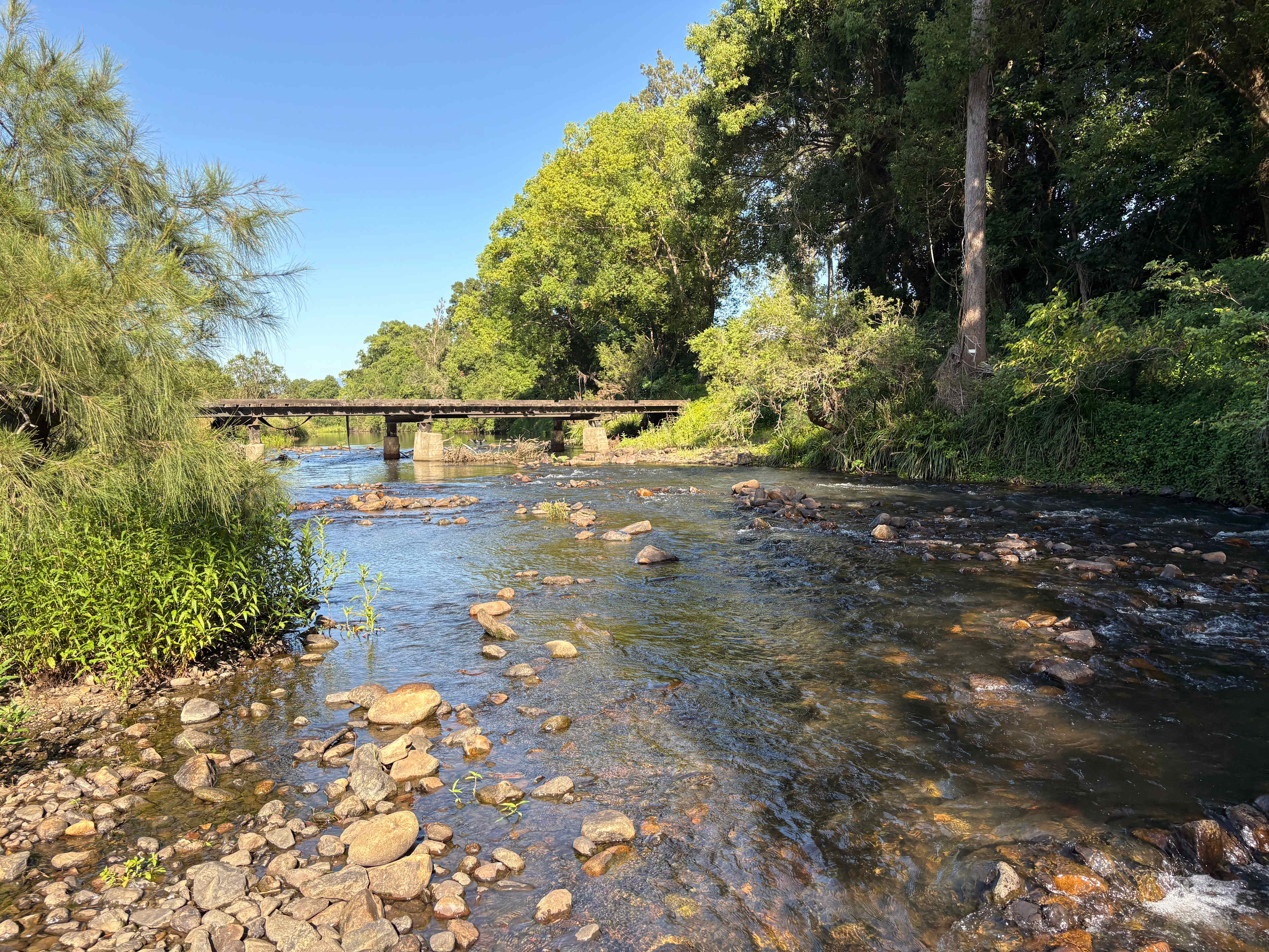 McKenzies Mountain, Wollumbin