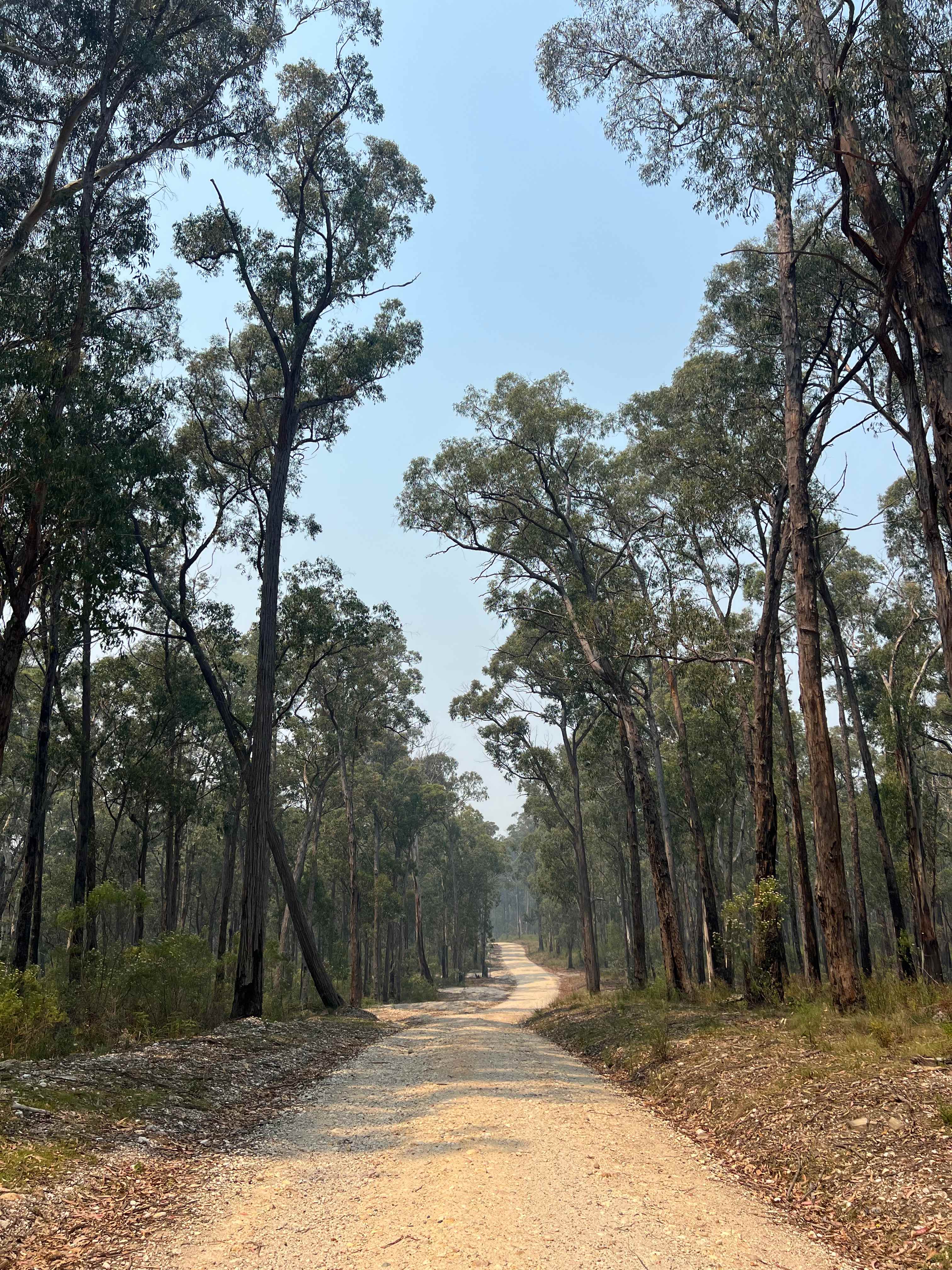 Mt Alfred Camping and Horse Riding